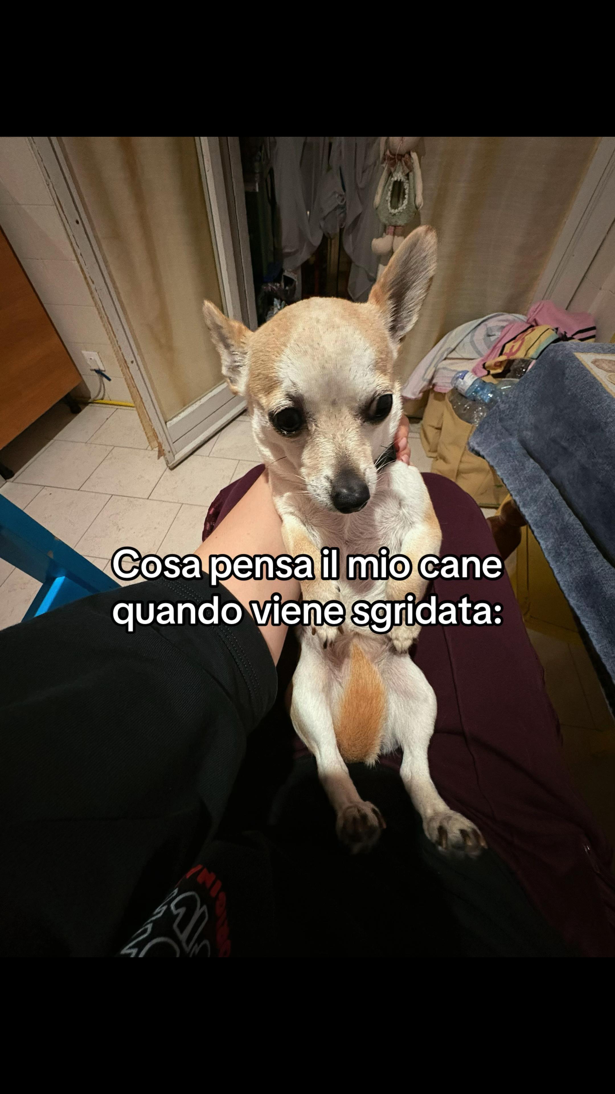 @Lile