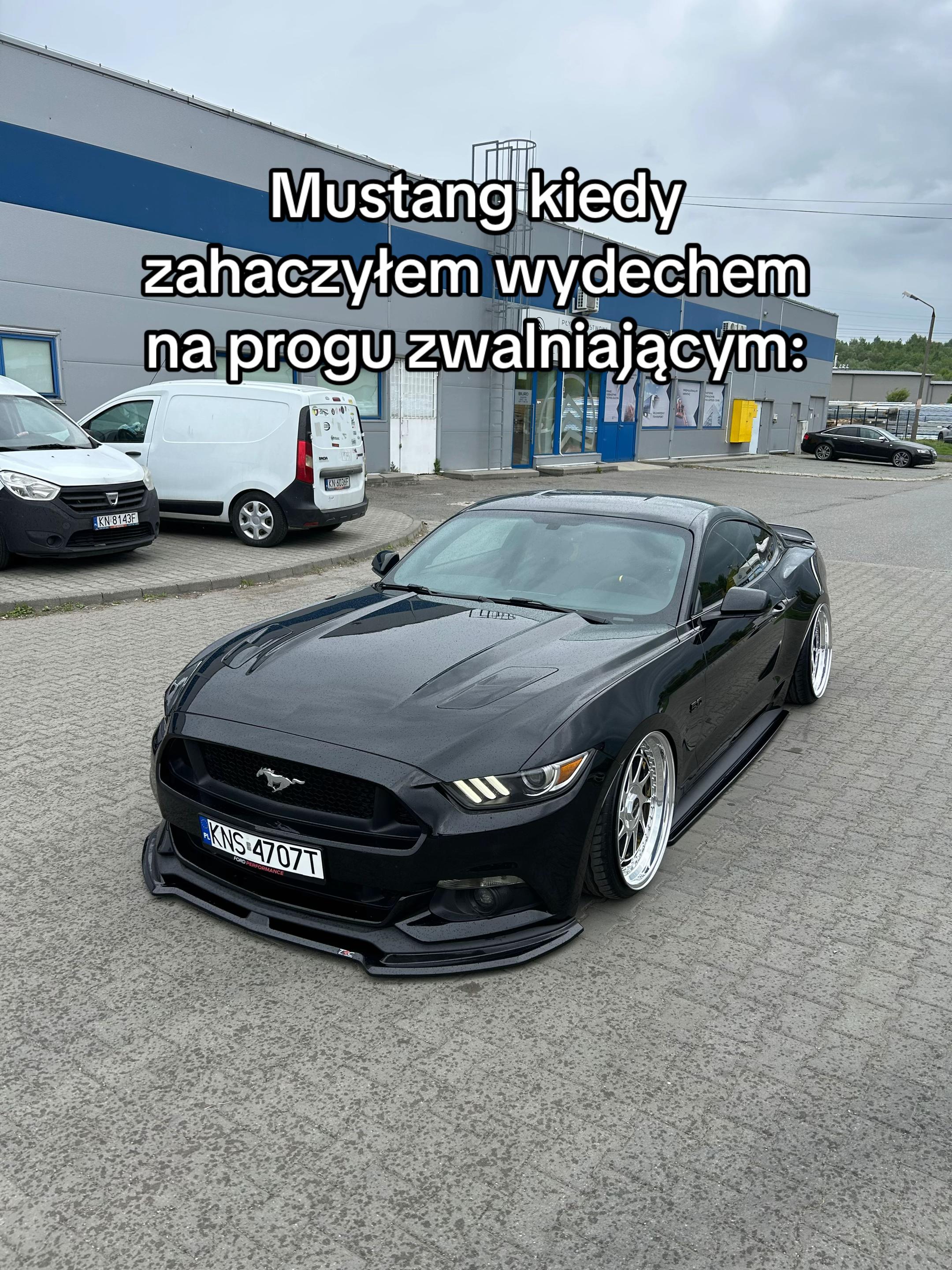 @eblo_v8gt