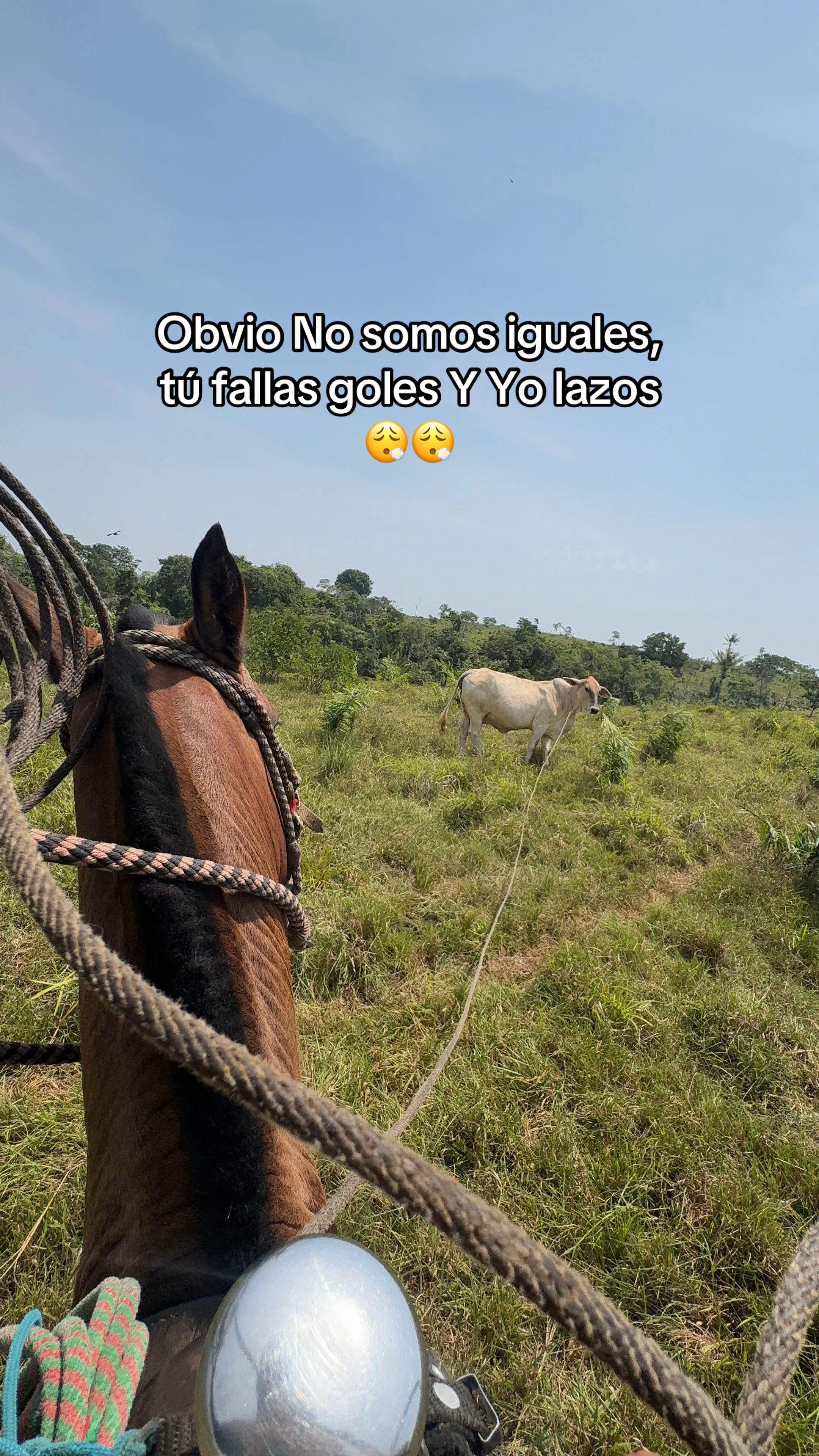 @Didier_🤠