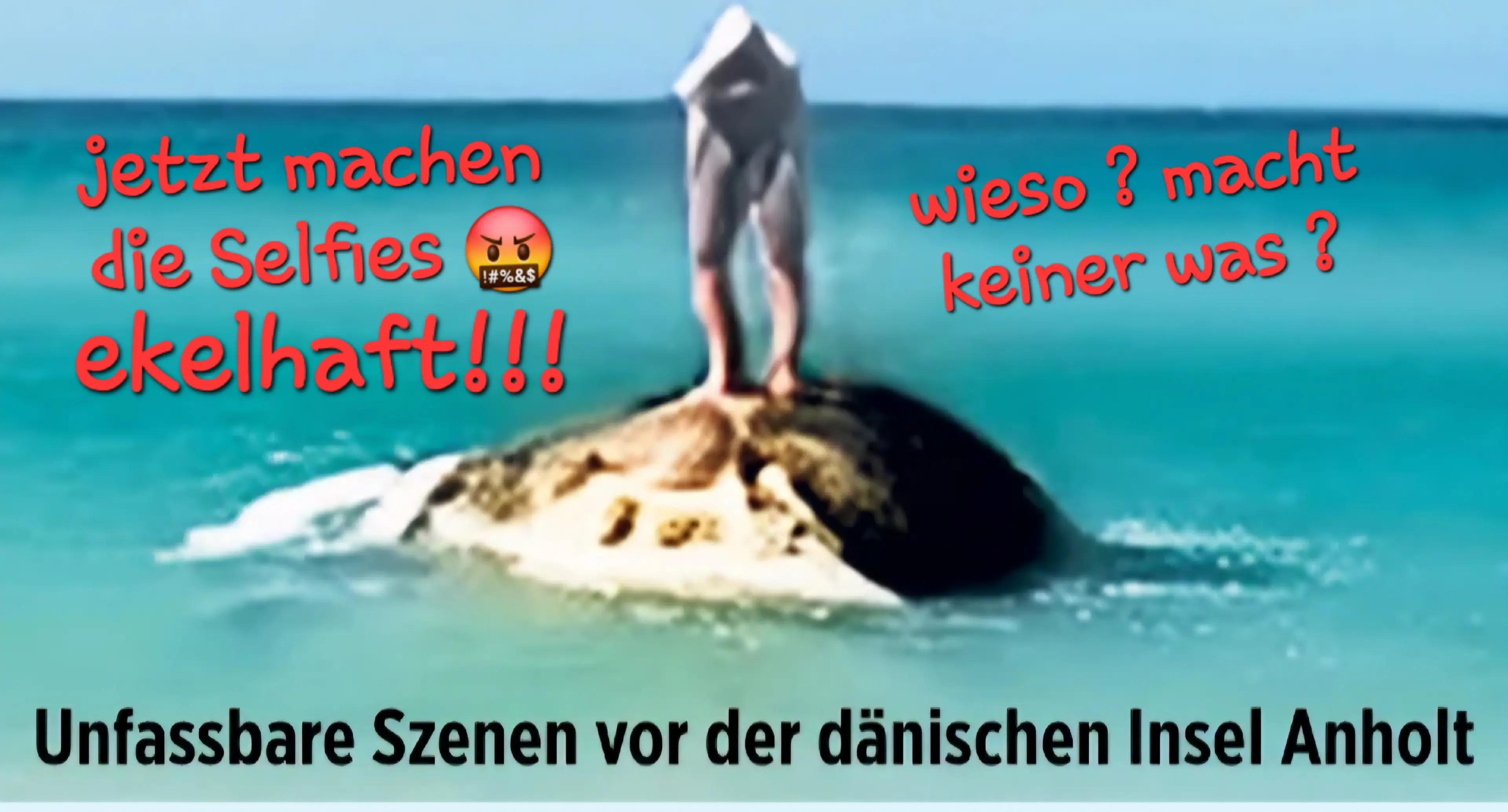 @✌𝓗𝓸𝓷𝓮𝔂 ~𝓢𝓬𝓱𝓷𝓪𝓽𝓽𝔂✌