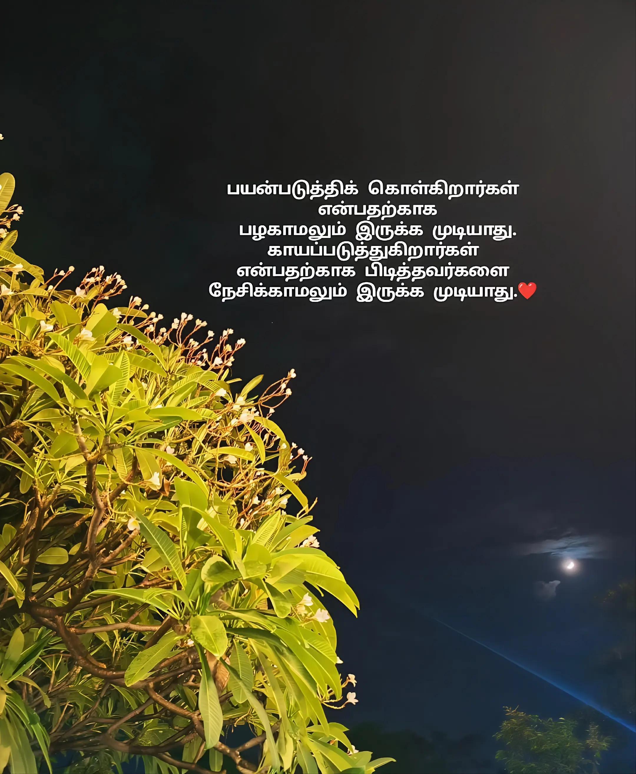 @ミ💔 𝐎𝐆 𝐕𝐈𝐋𝐋𝐀𝐈𝐍 🥀彡