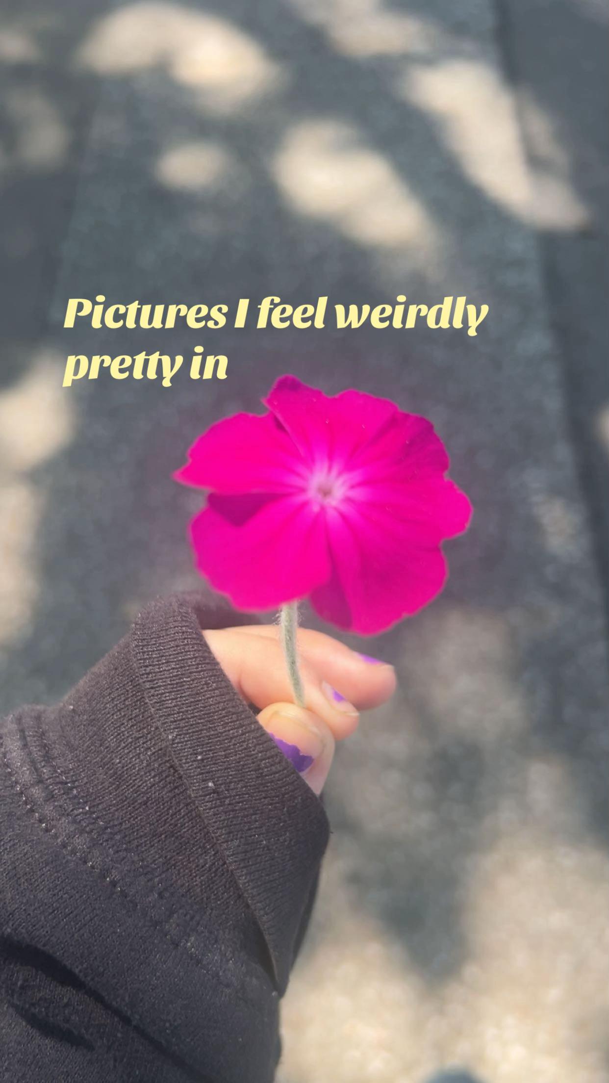 @丰𝓐𝓵𝓲𝓼𝓸𝓷丰🦑🐇