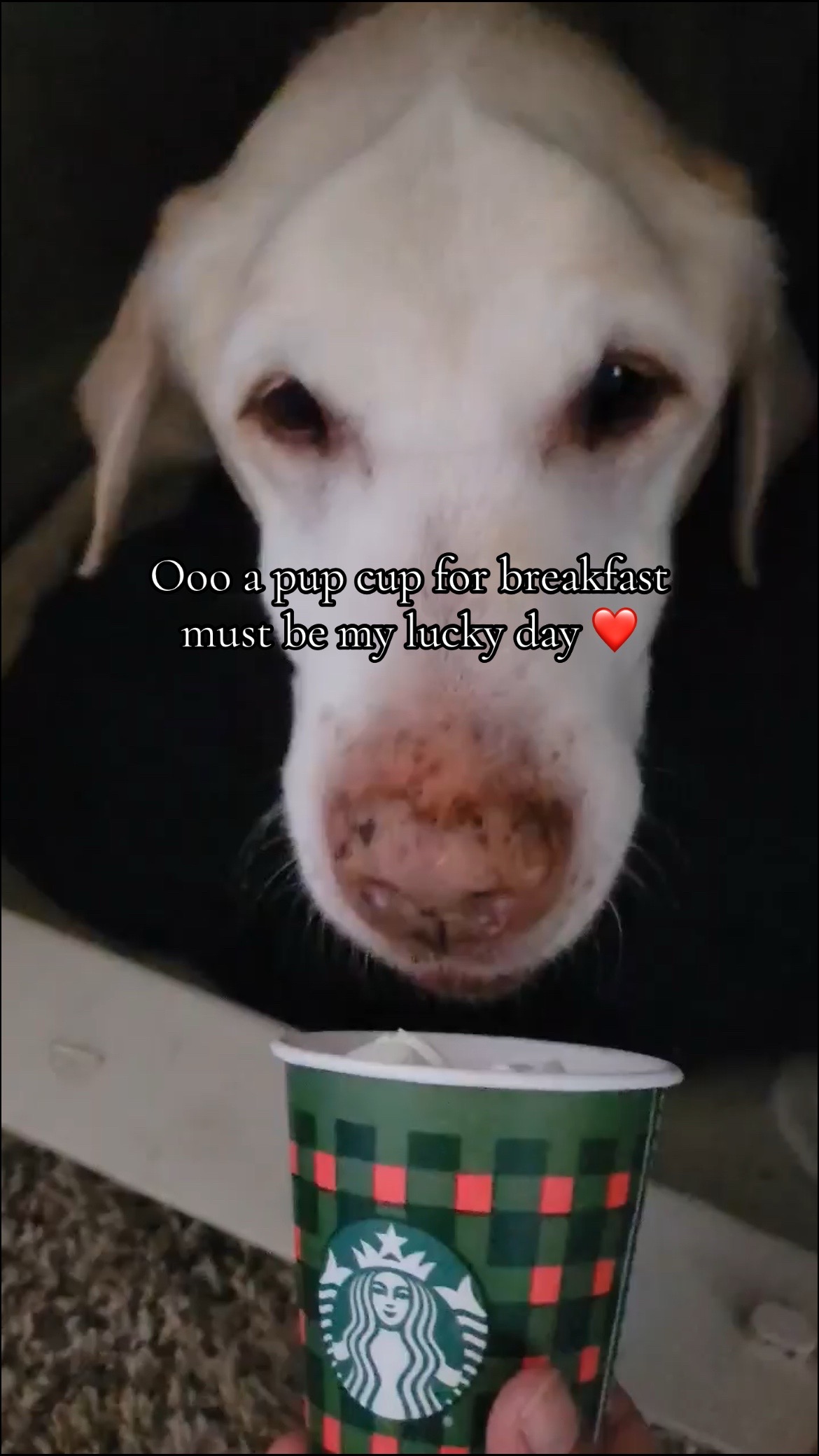 @ana