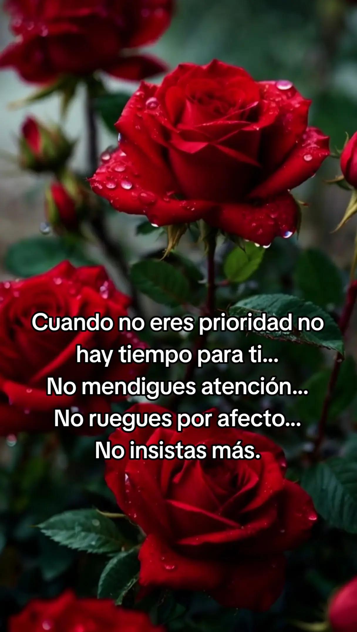 @Rafael V.J.(Lobito)