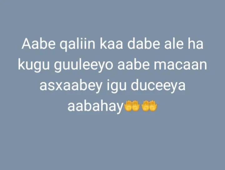 @boqortooyada ssb