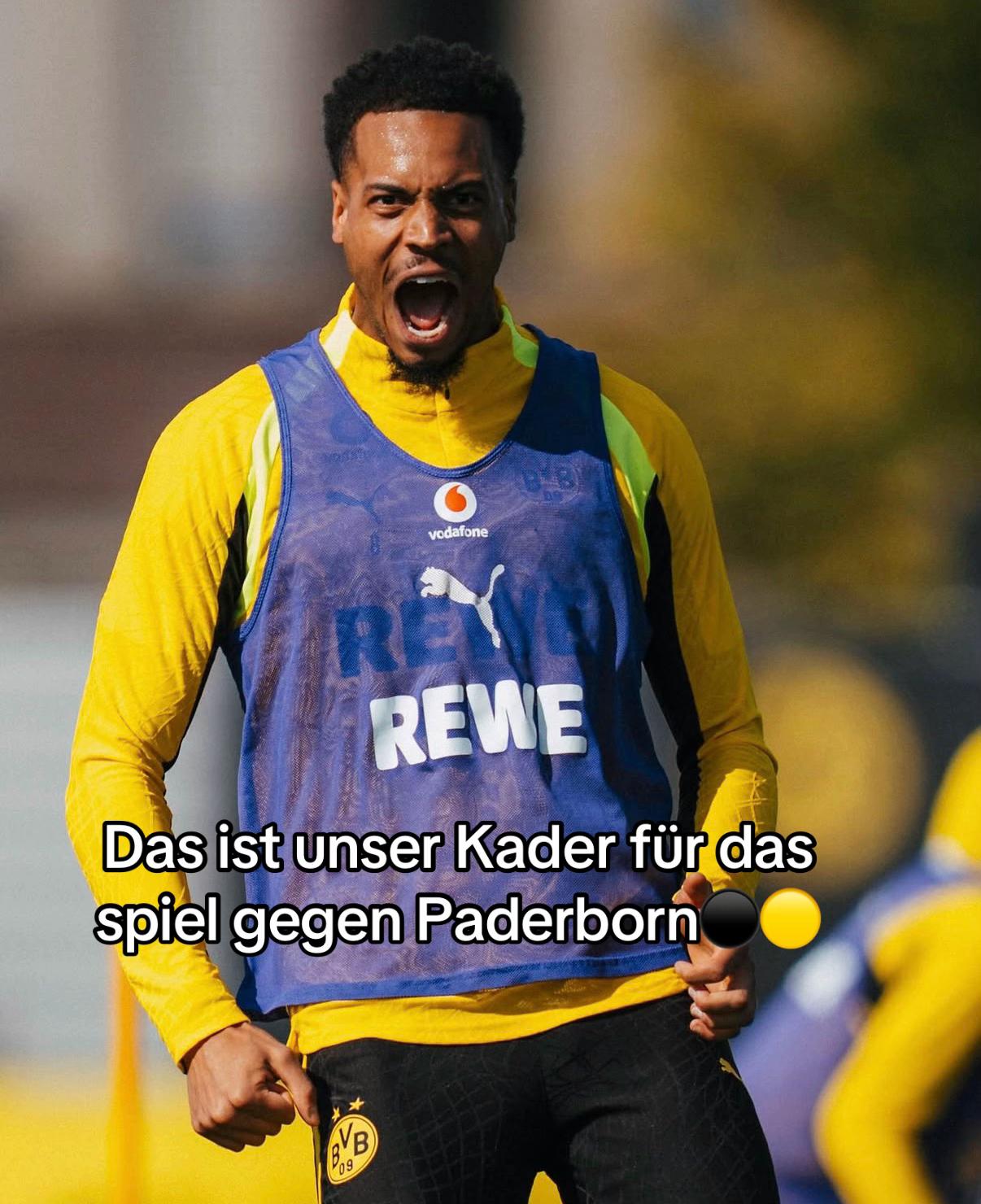 @Forza BVB 1909