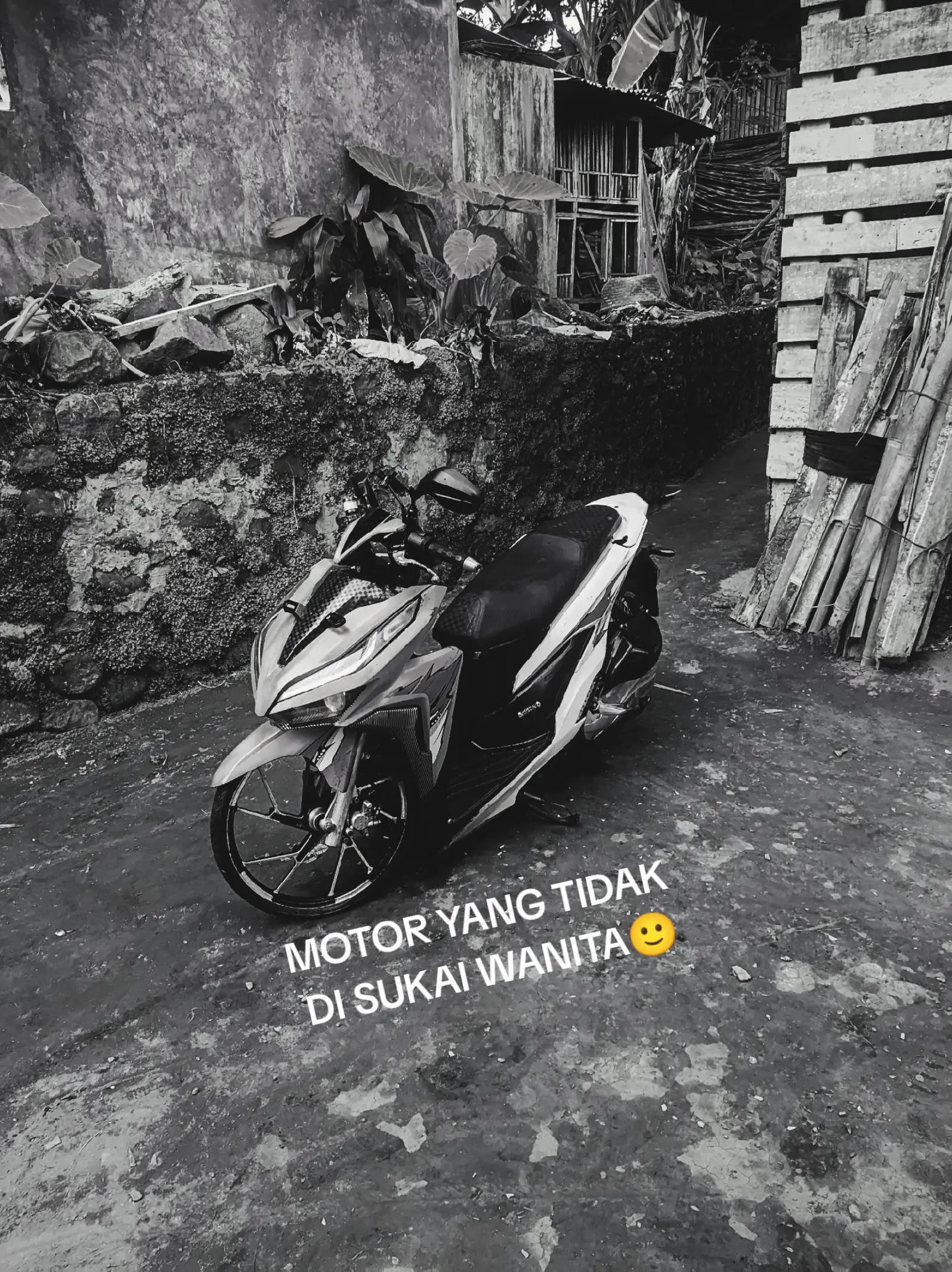 @VARPUL🤙🥶