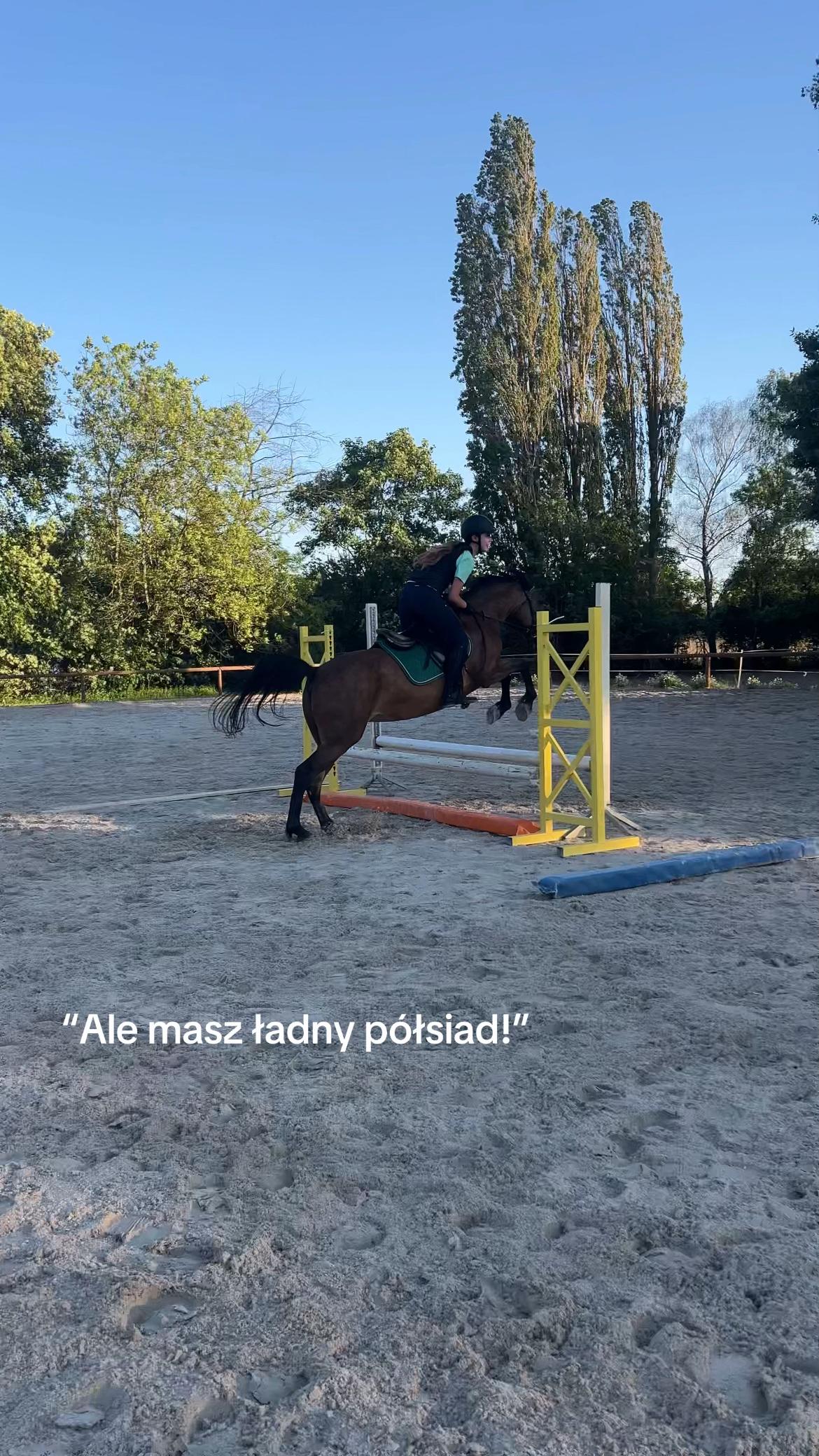 @s.equestrian