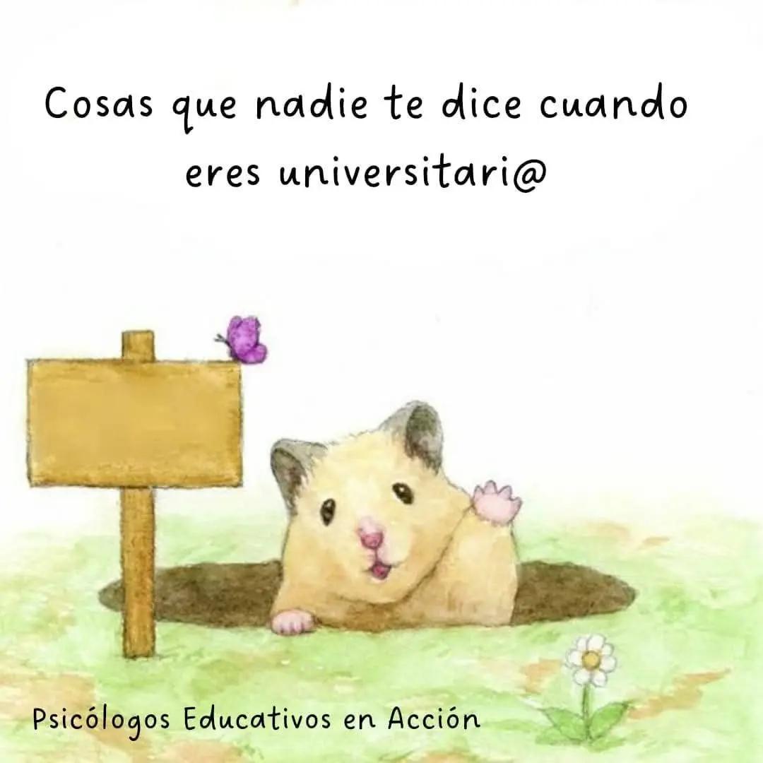 @Psi.Educativos en acción