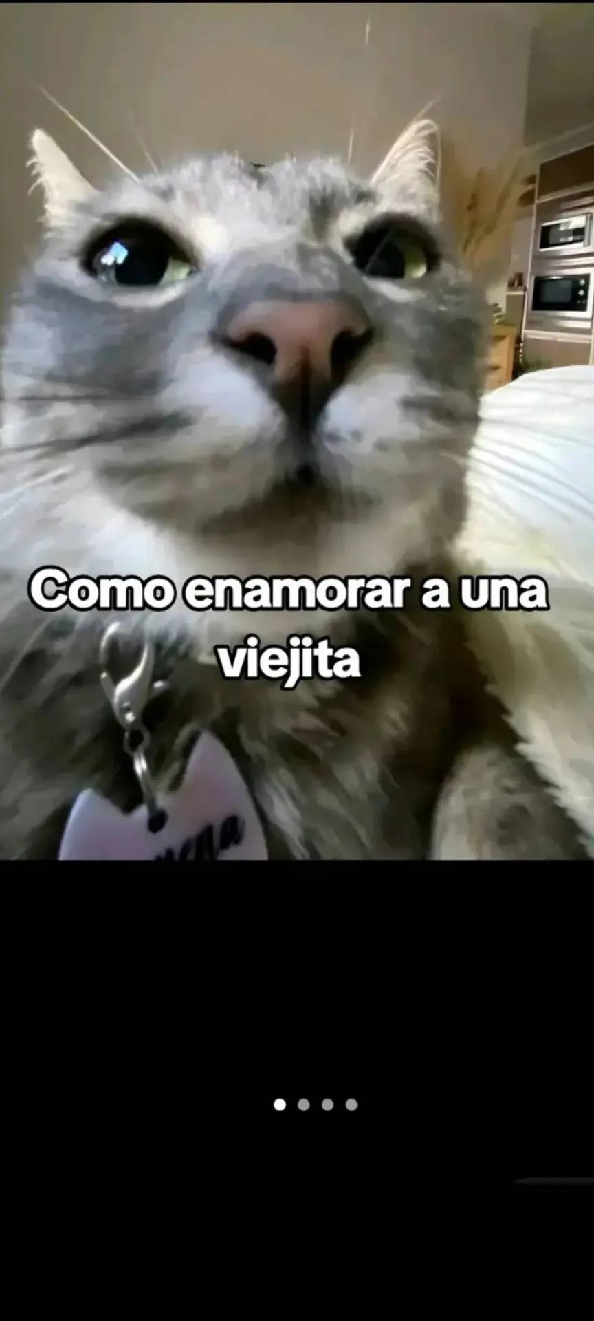 @Dylan
