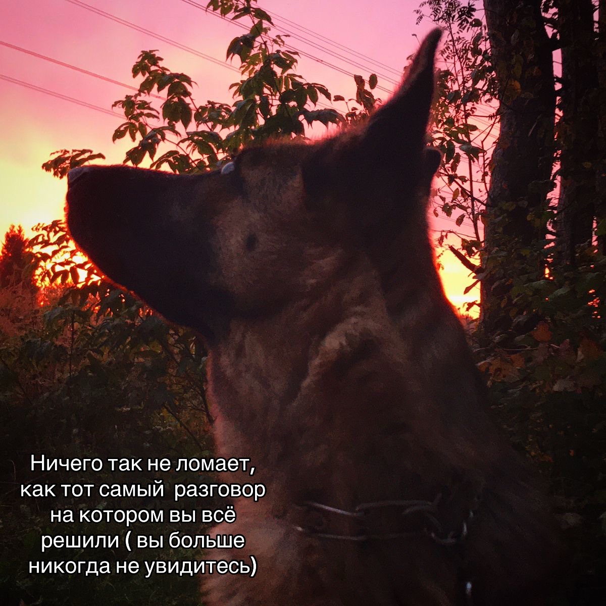@Машк