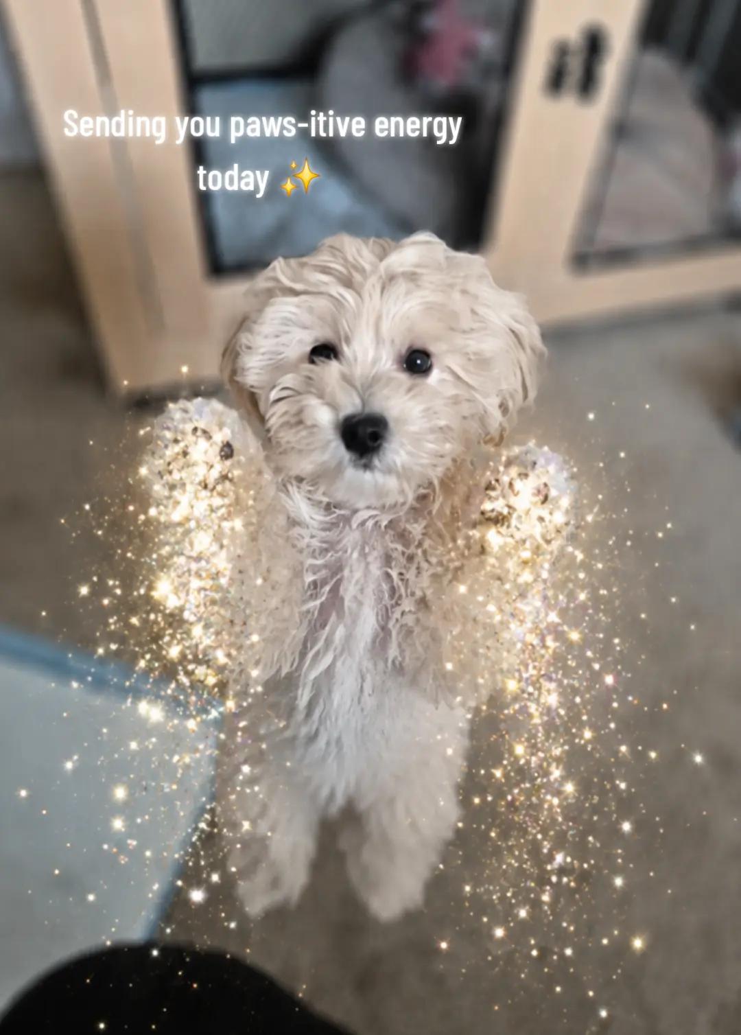 @Willow✨️