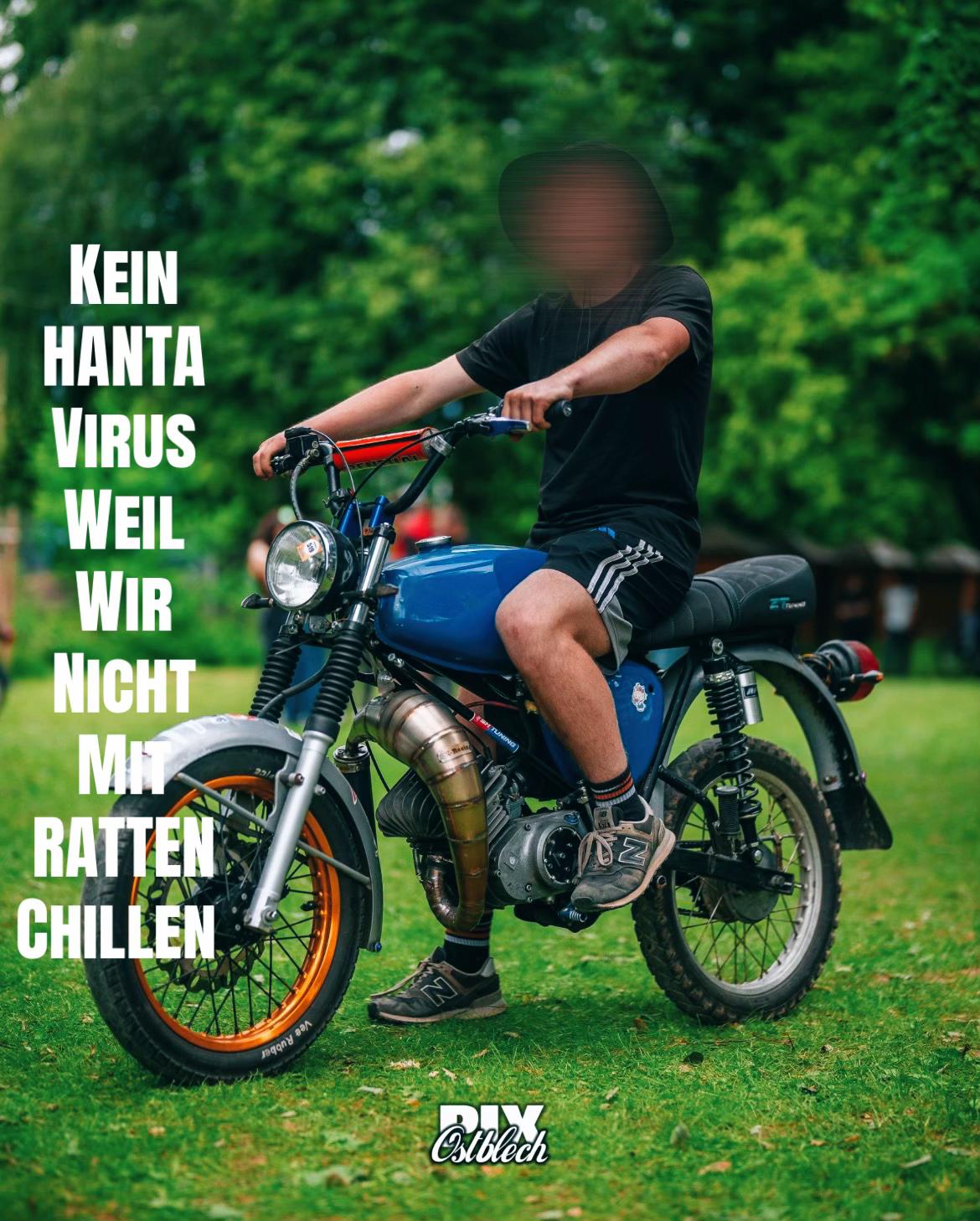 @Klemmer_Schrödii