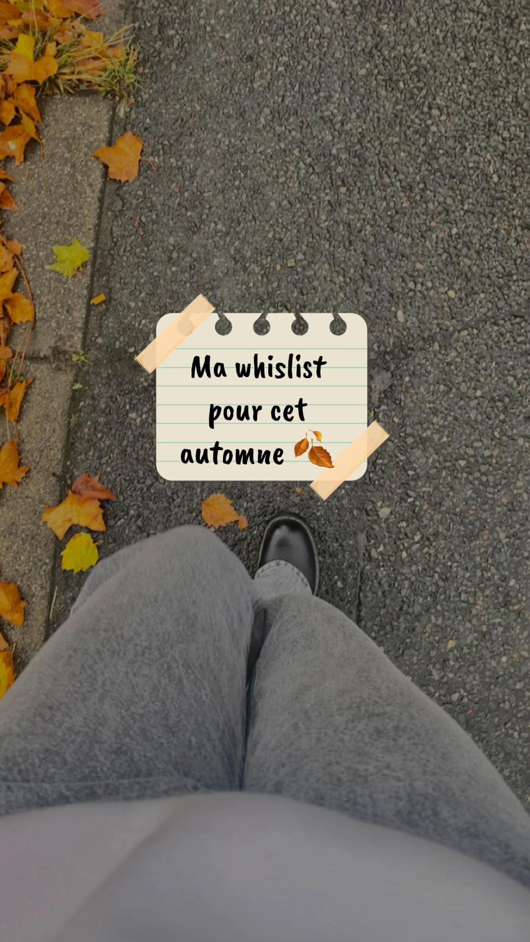 @shelby.vllt