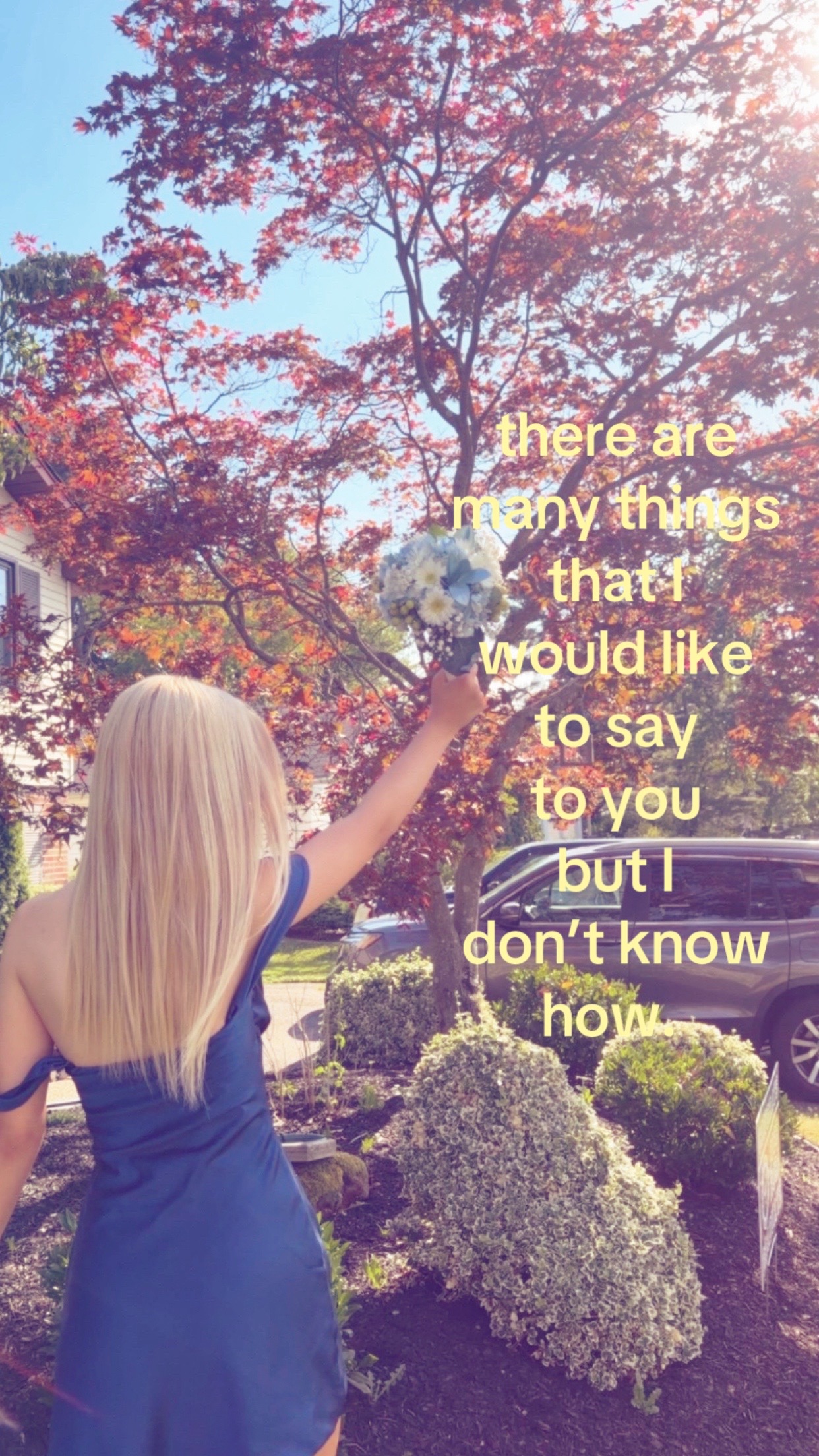 @bih🦄💋🐆😇🥺😚