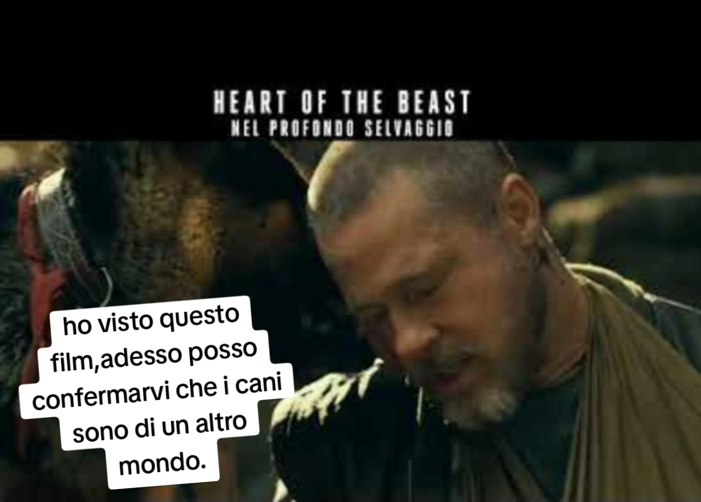 @ciropugliese379
