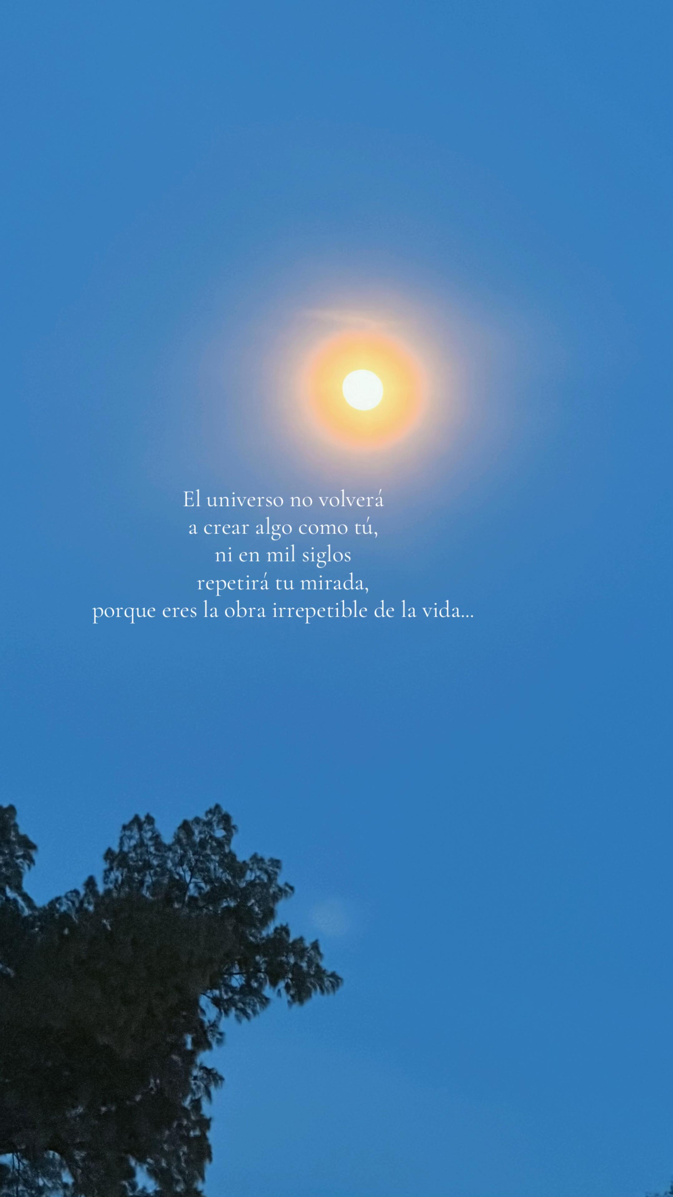 @𝒢𝒶𝒷'𝓈 ℛ𝒾́ℴ𝓈ℳℴ𝓇
