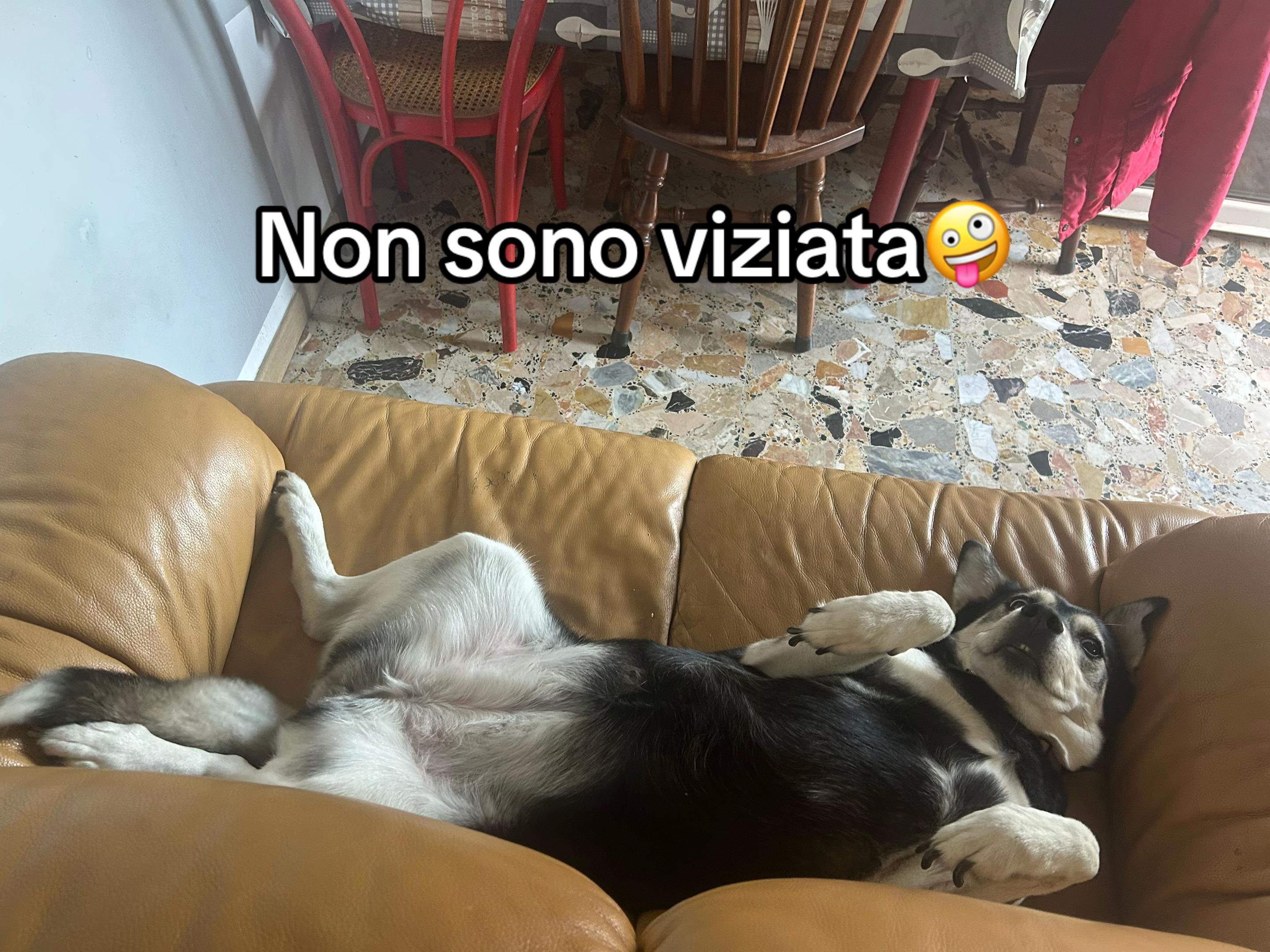 @Giorgia🌸