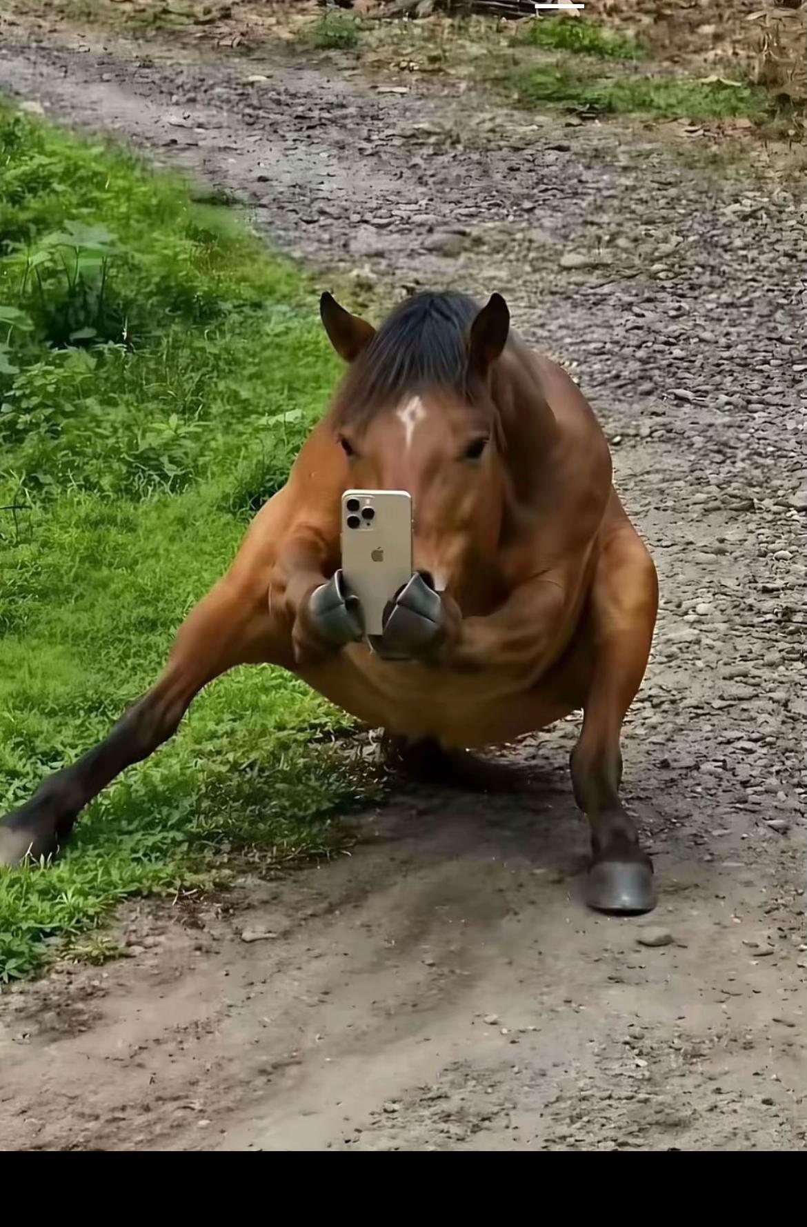 @ŠTAJC