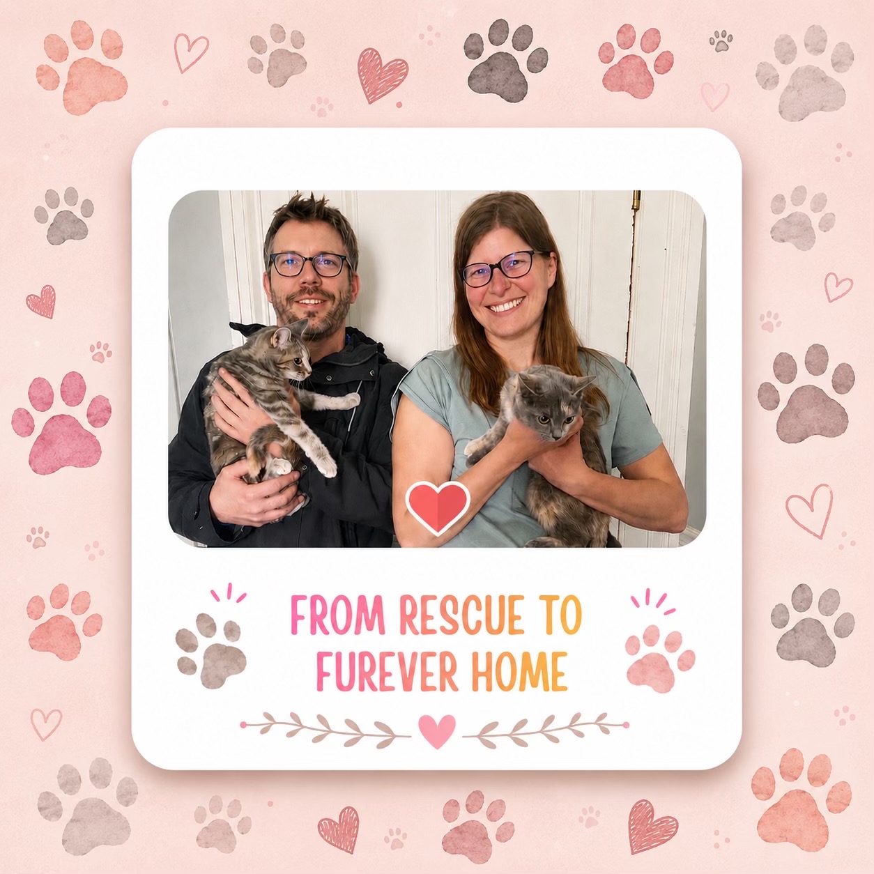 @North Toronto Cat Rescue