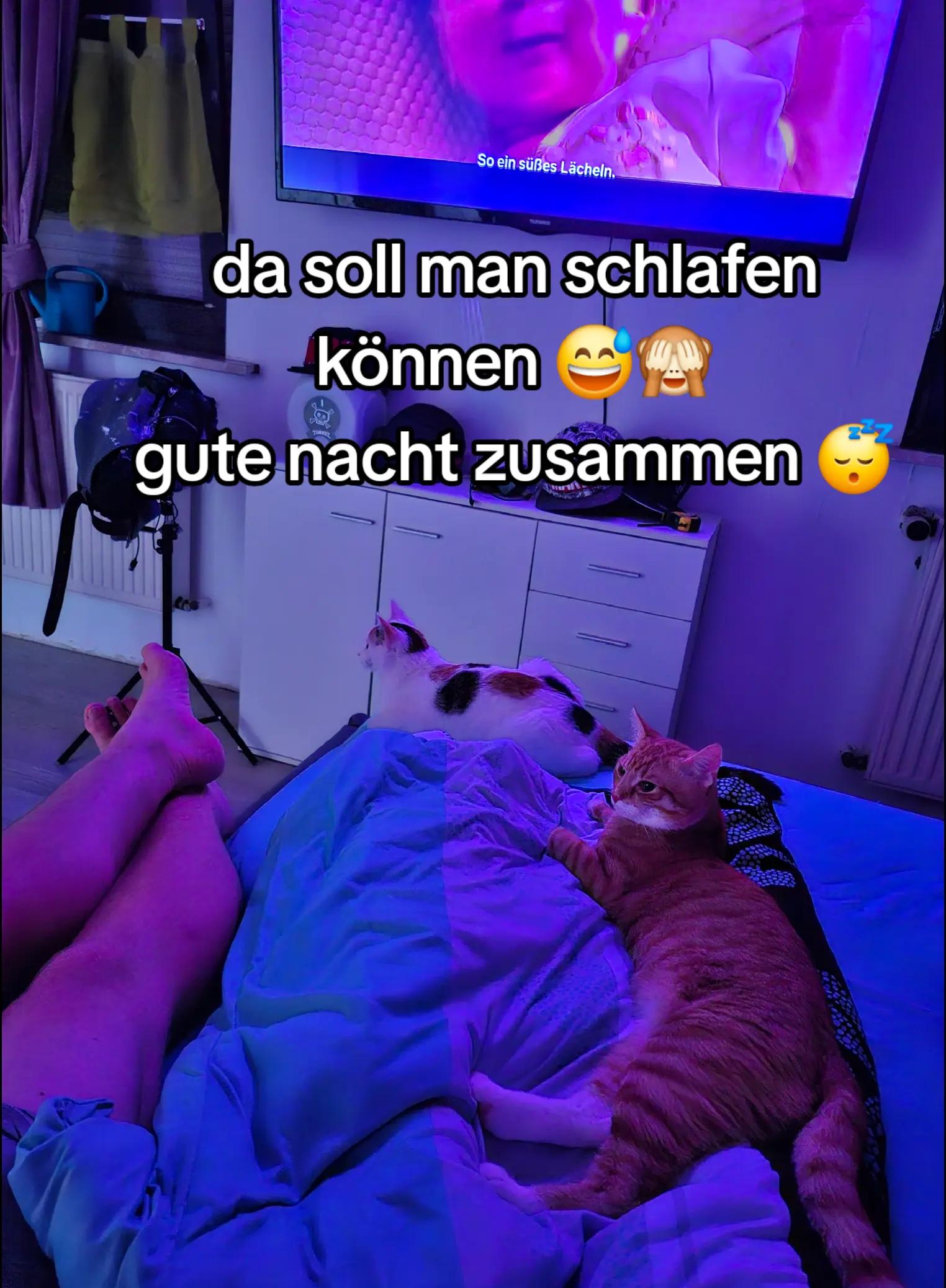 @🪣🧽 Reinigungsservice Weiß