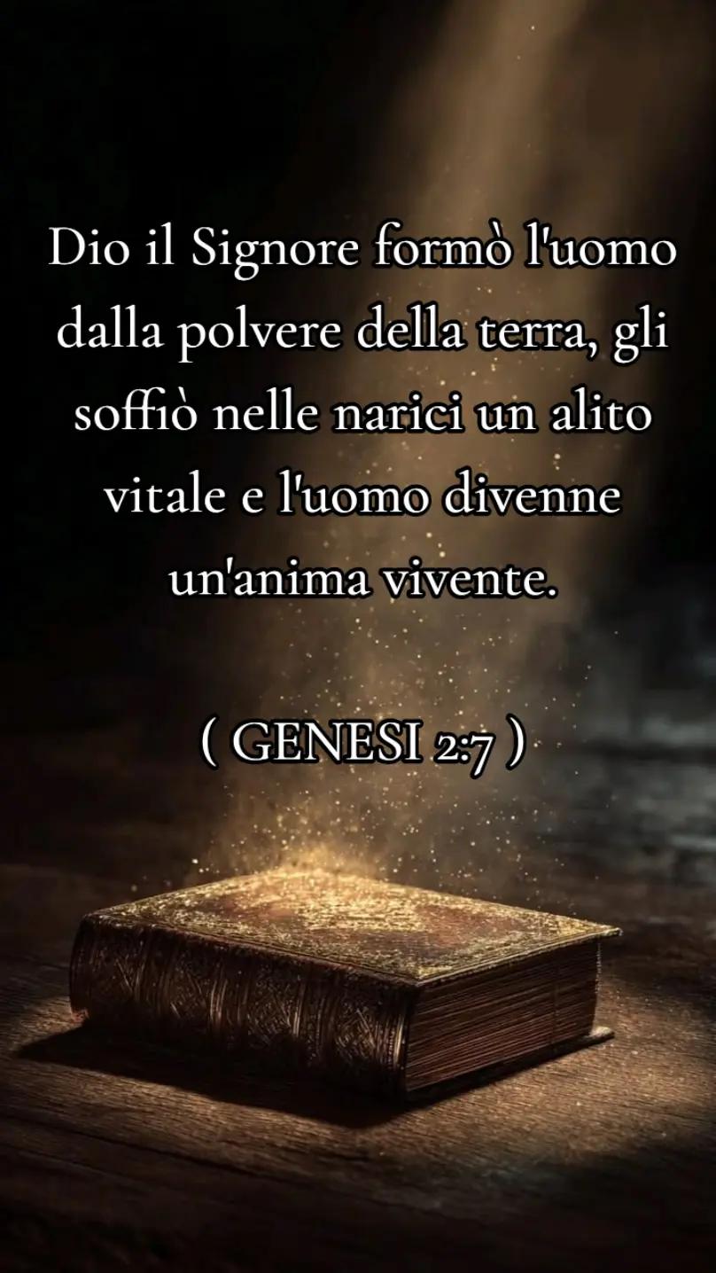 @🙏SHALOM🙏