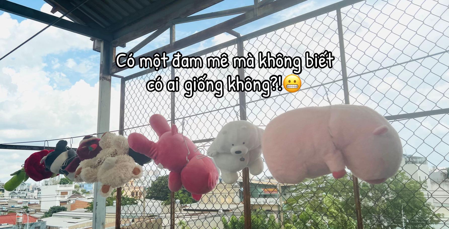@Tím