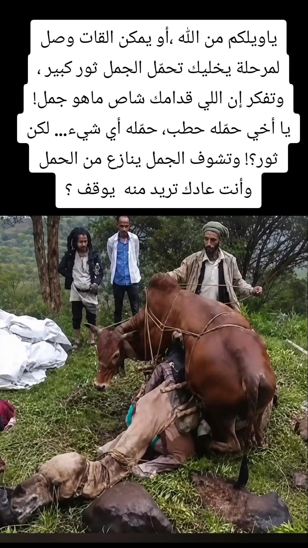 @صهيب الهمداني ✪2