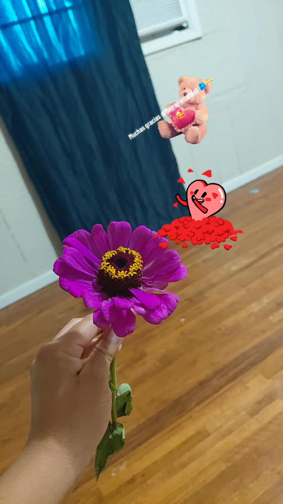 @🙏🫶👧ANA 🫂🥹🫀🥀