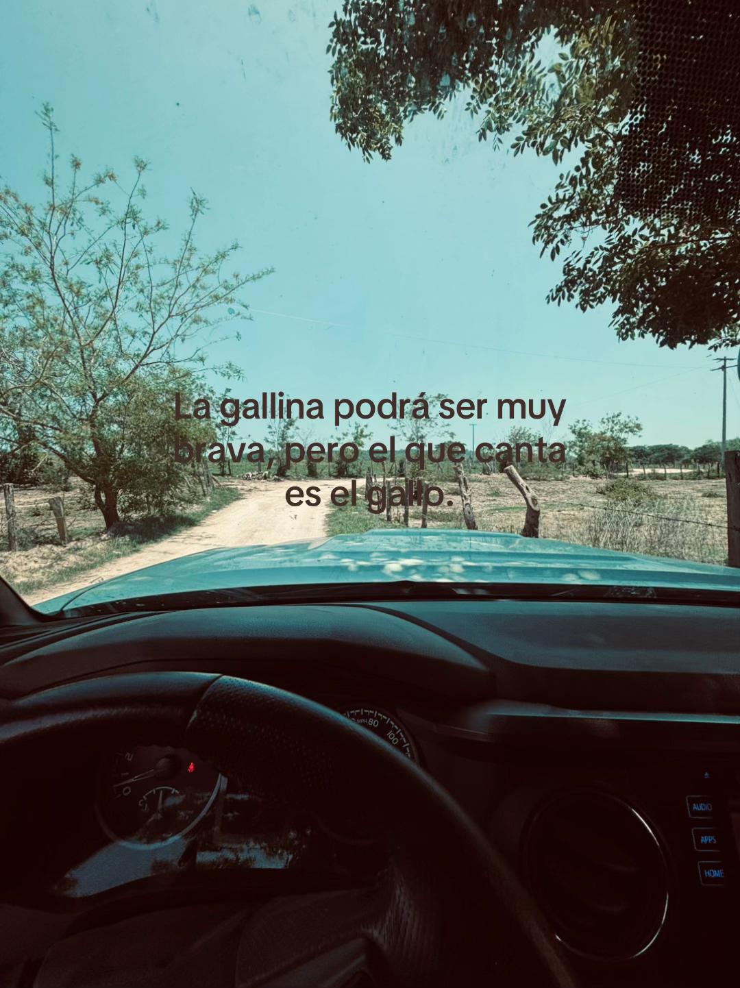 @Jxniel