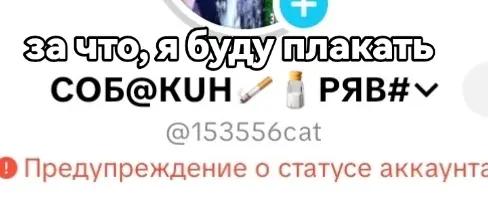 @COБ@КUH🚬🧂РЯВ#