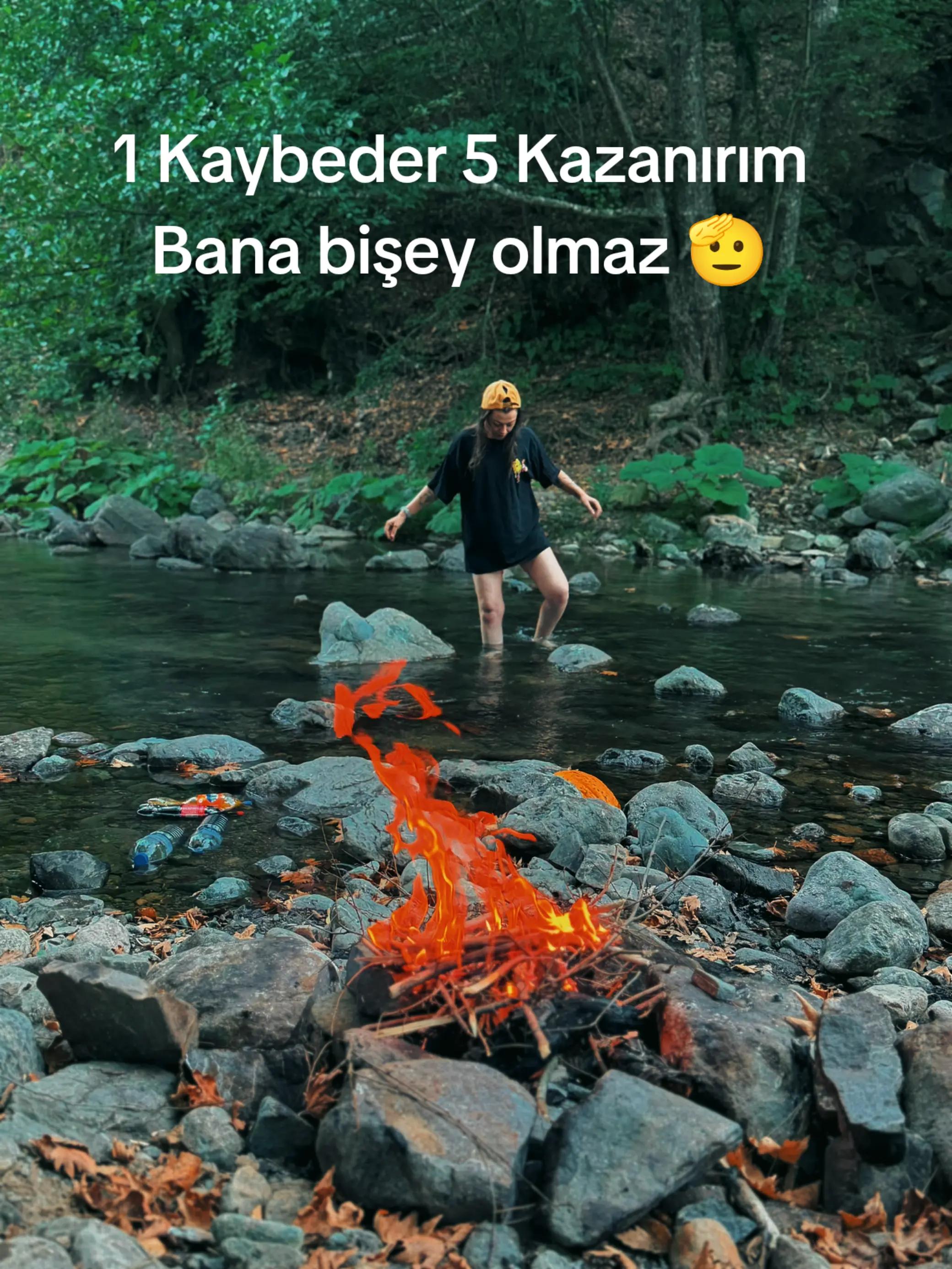 @kedi