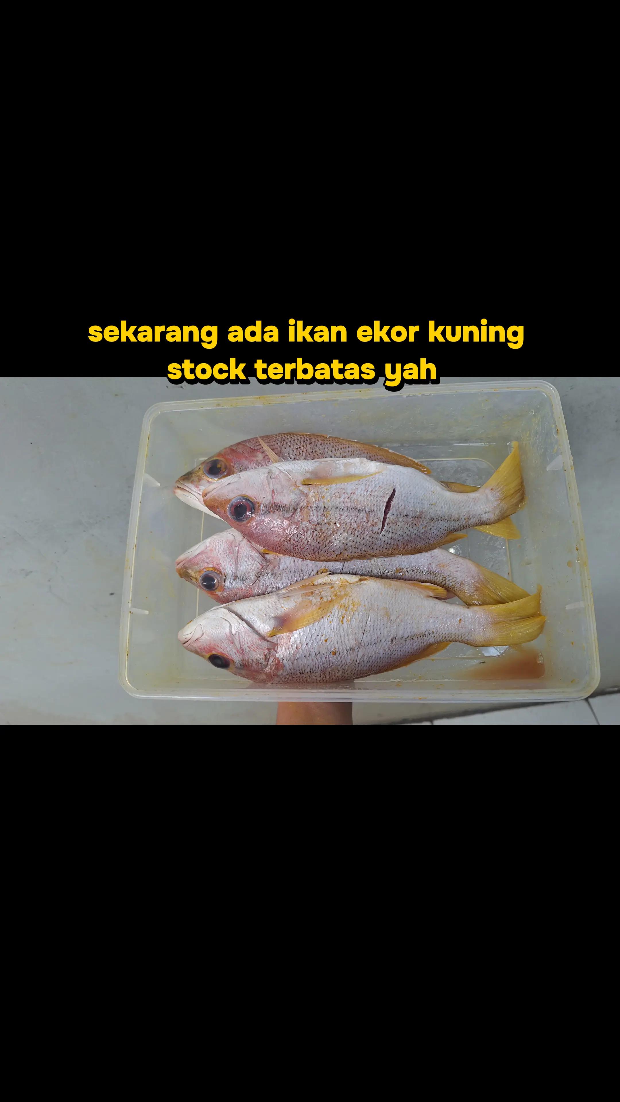 @Sarapan Kaka Adik Soreang