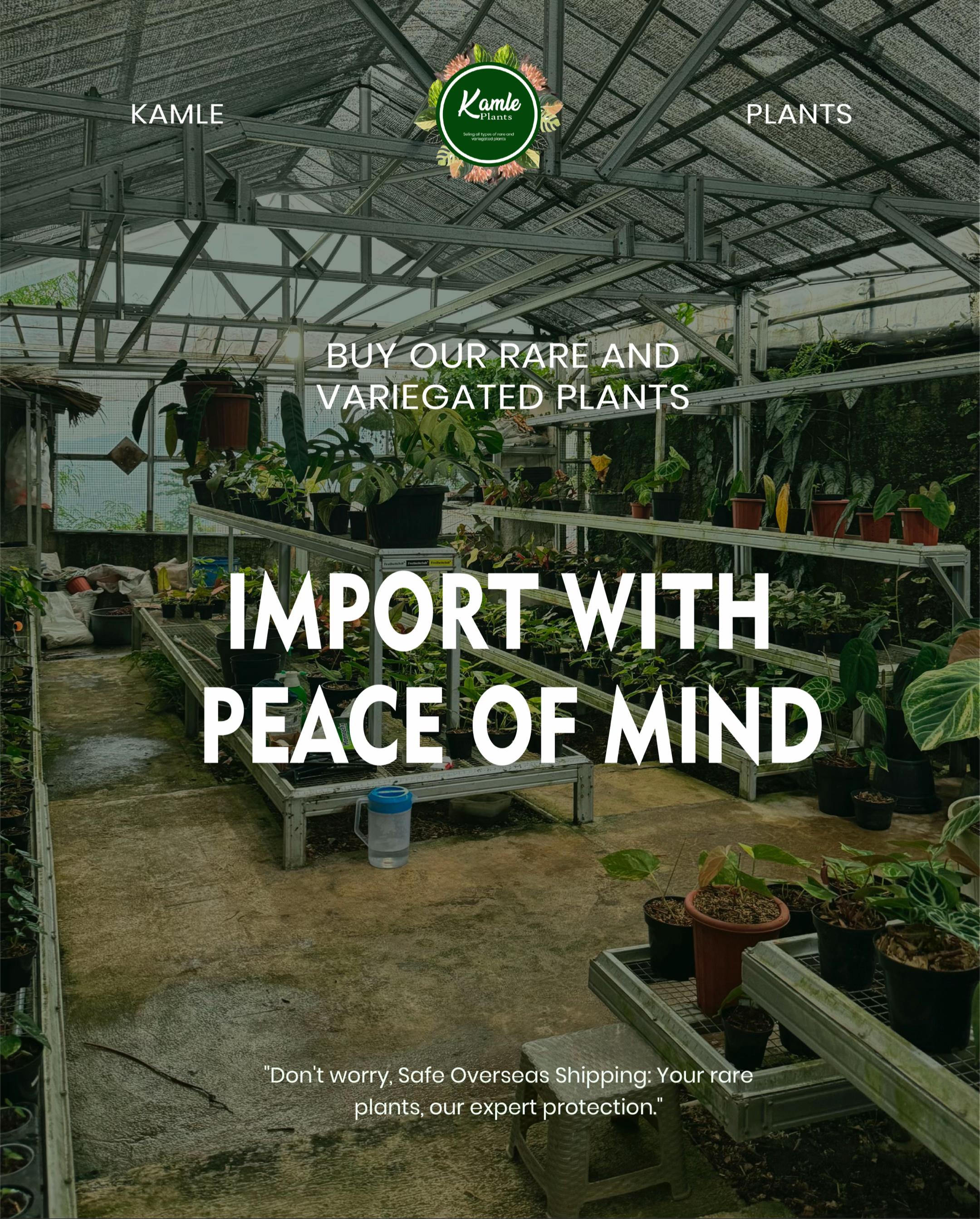 @Kamle Plants