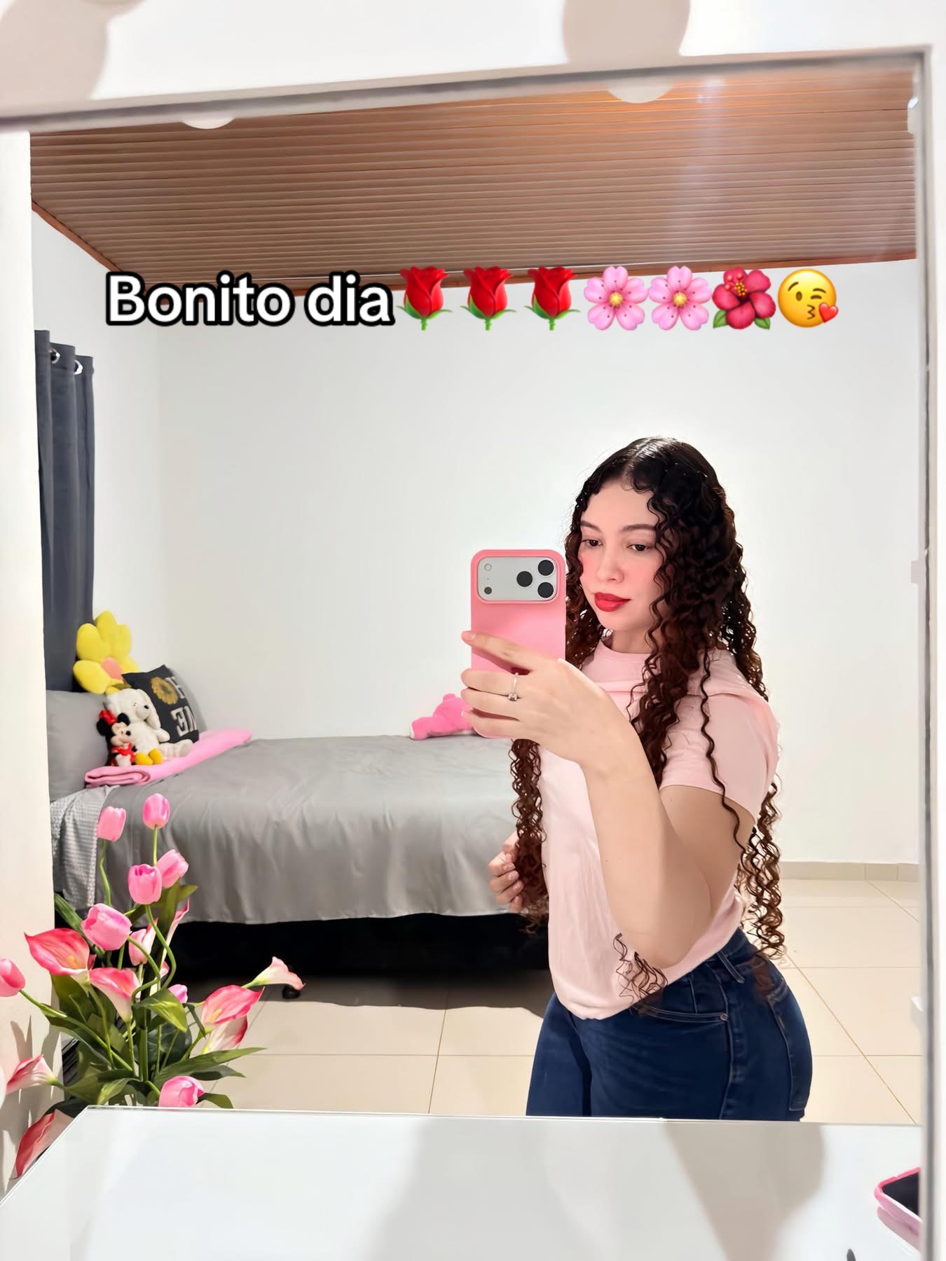 @Jeidy Anariba