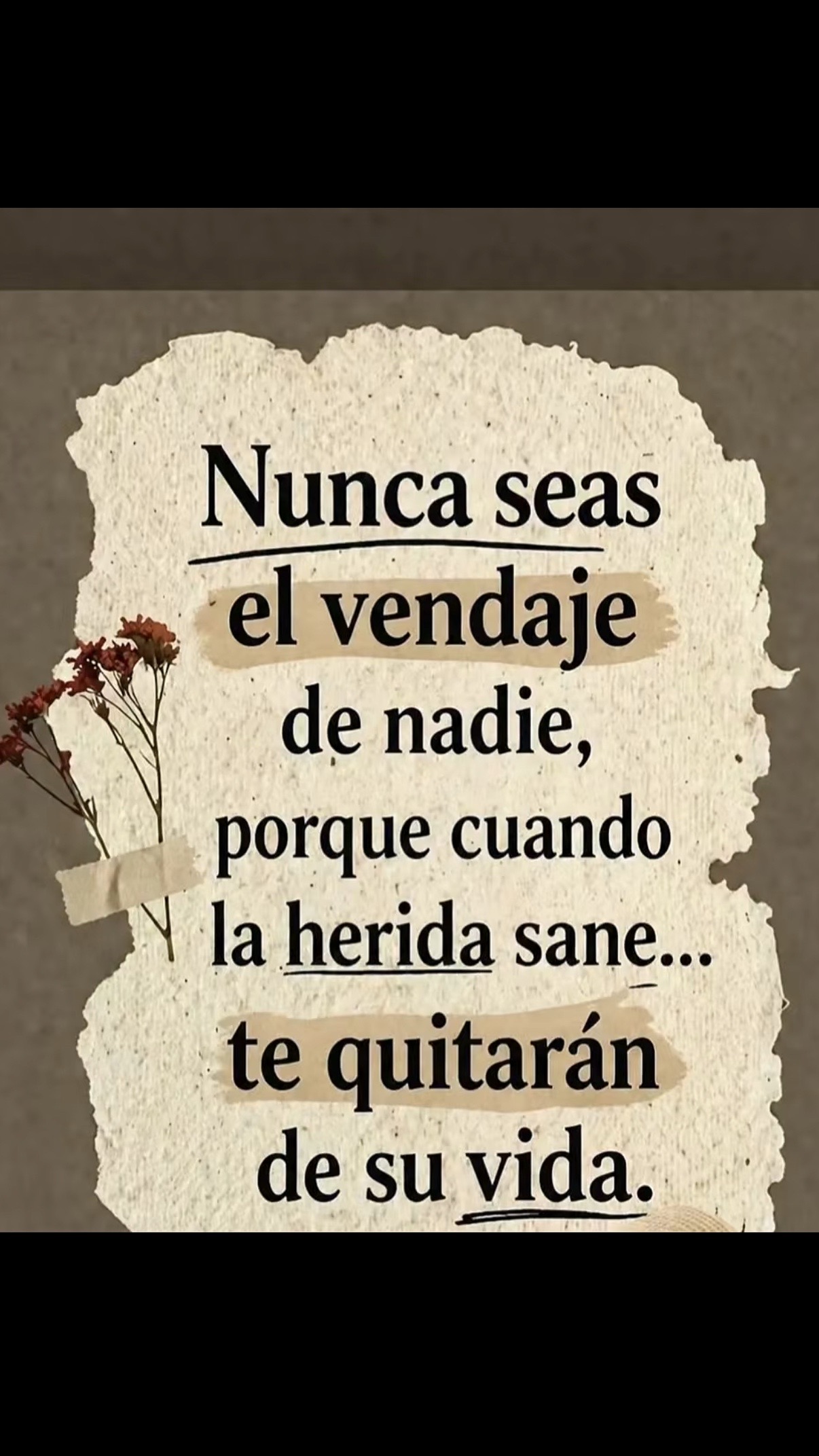 @Evelin 502.v🐟🍀🐢🐟🍀🇬🇹🇺🇸