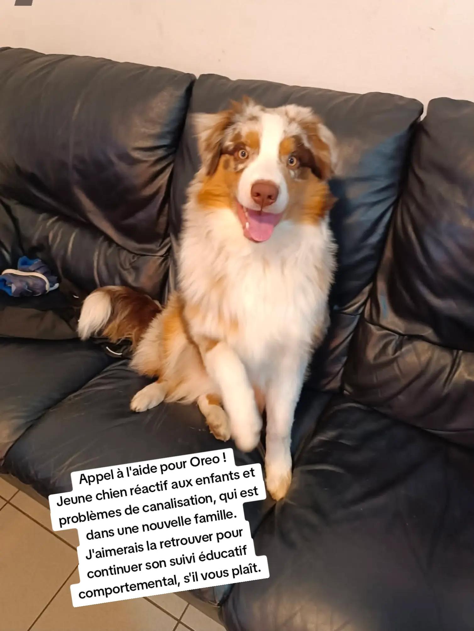 @Ilo🩵💜 - Nala et Falco❤️💙