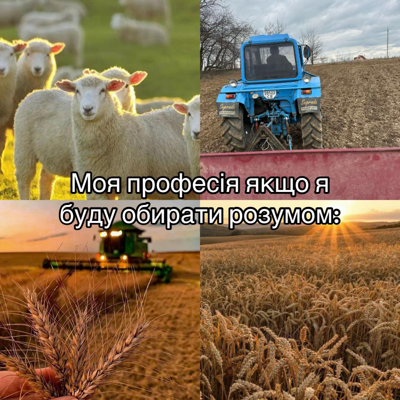@pavelguz2