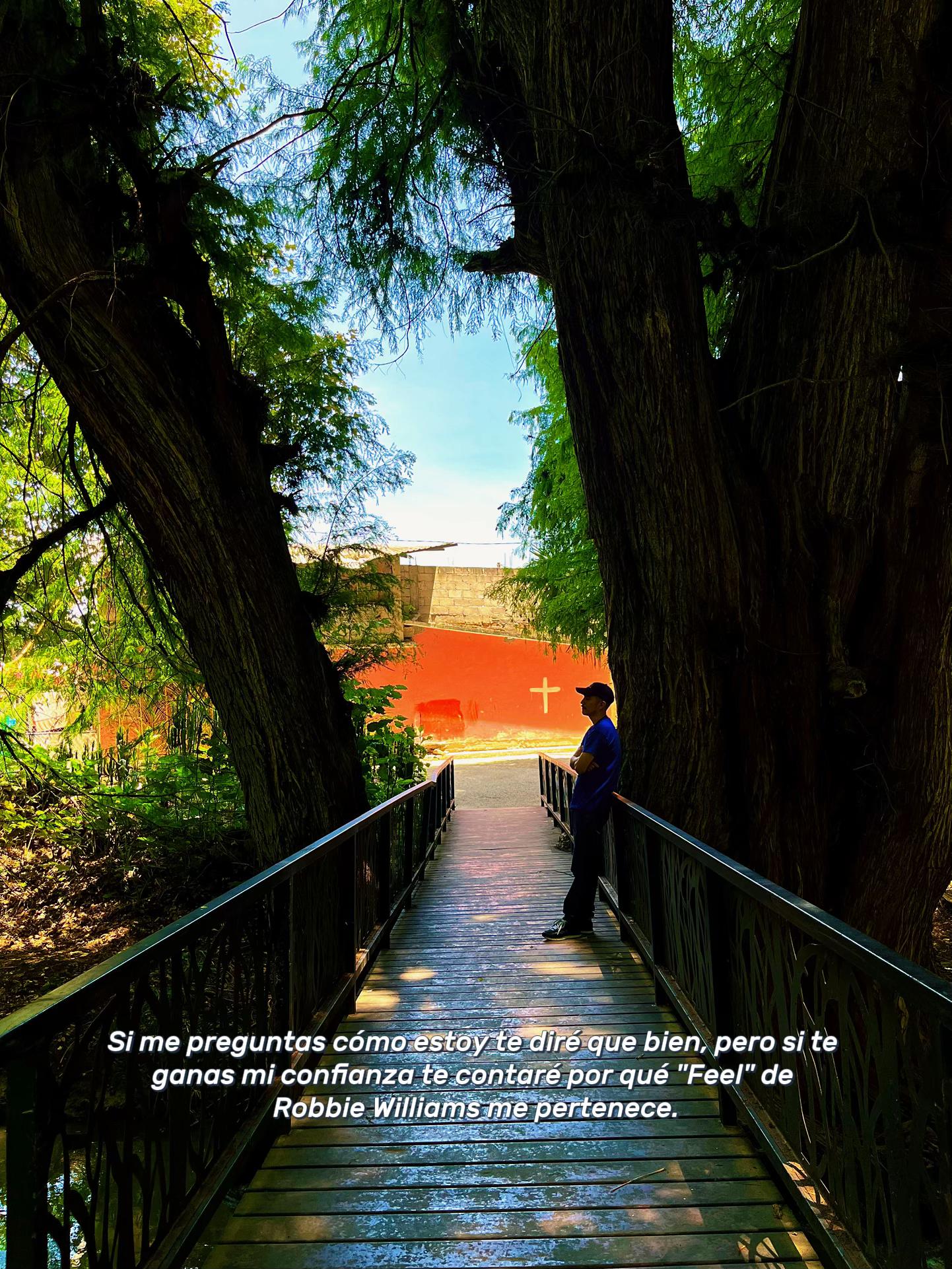 @Rey Hernández