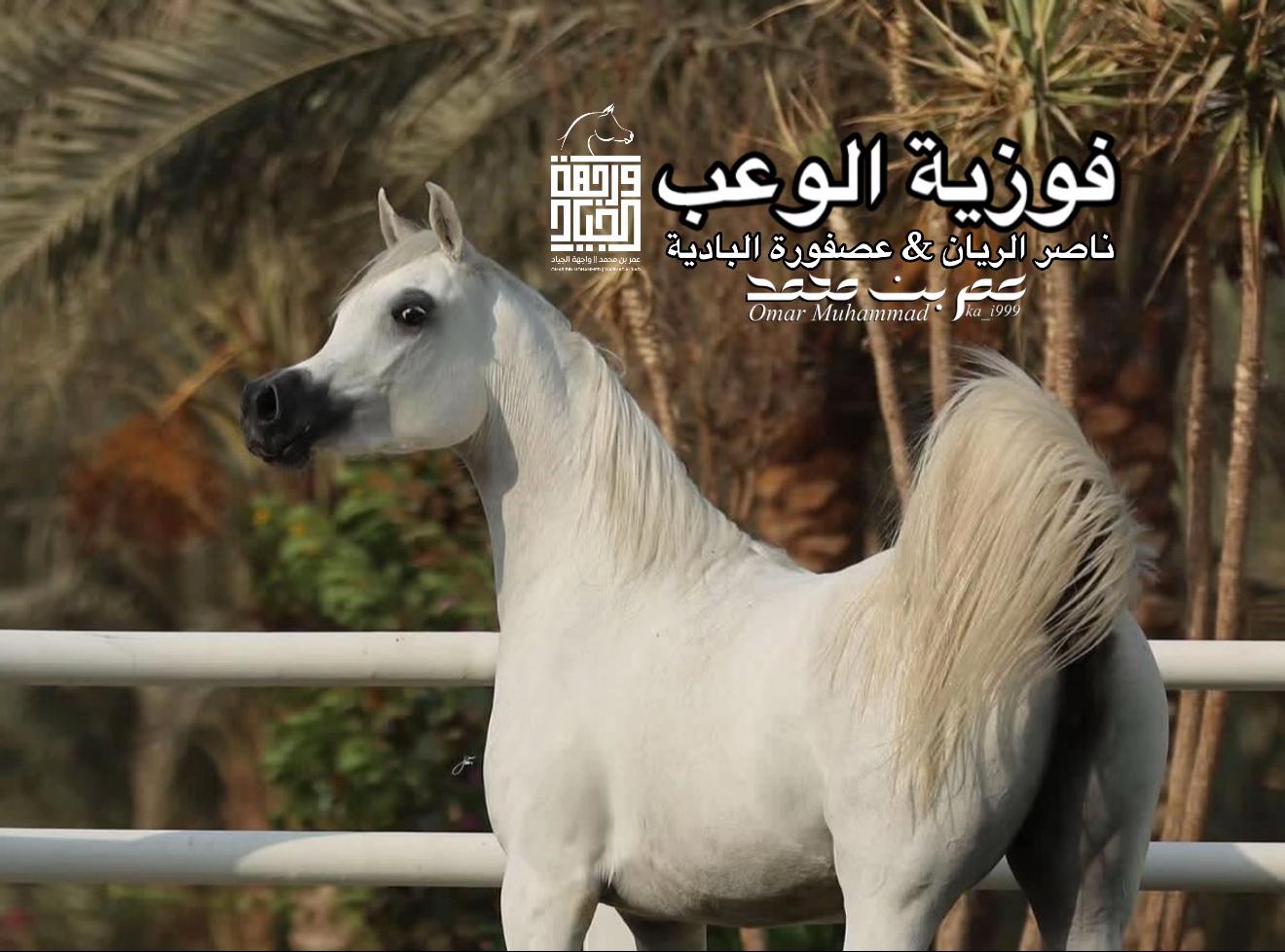 @عمر بن محمد | واجهة الجـياد🏅