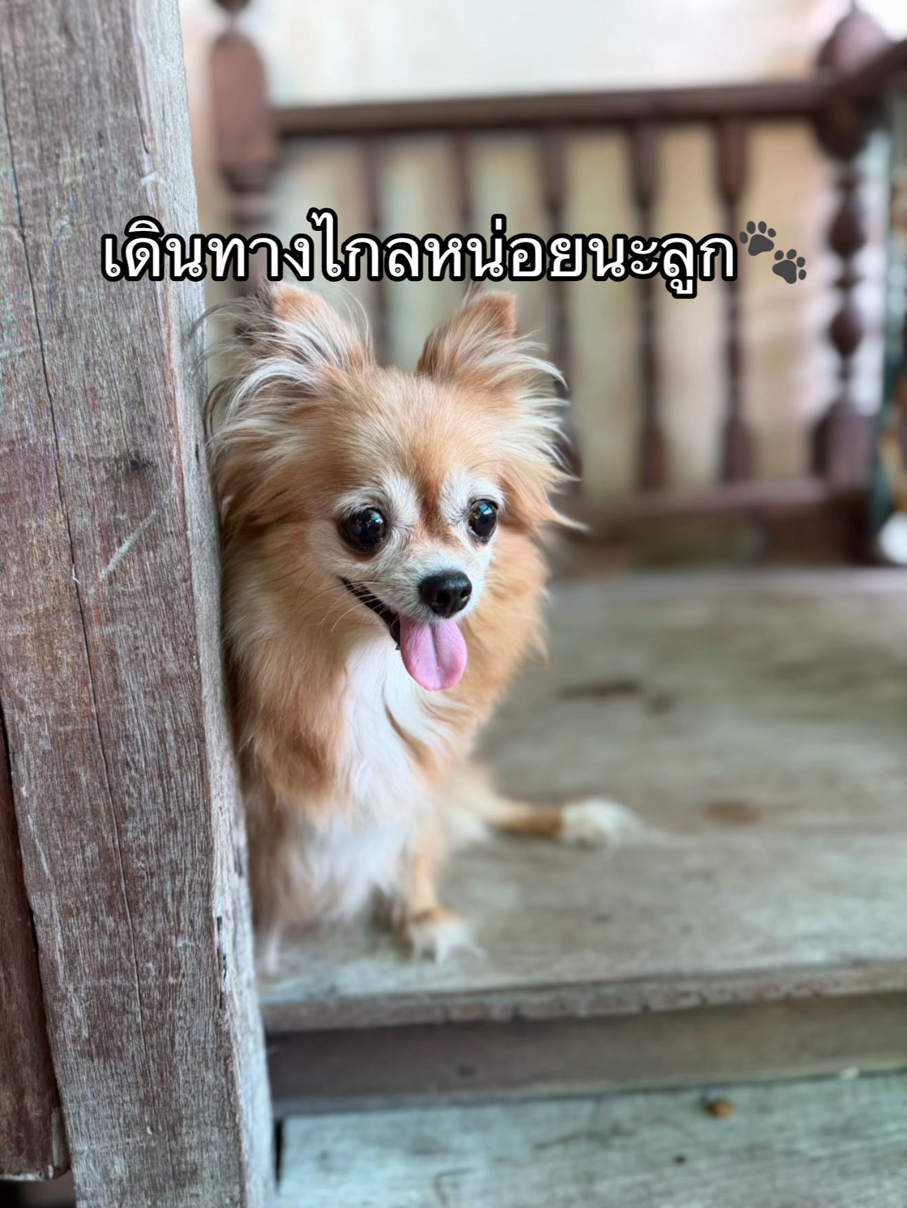 @อิส้มเอ่ยยยยยย