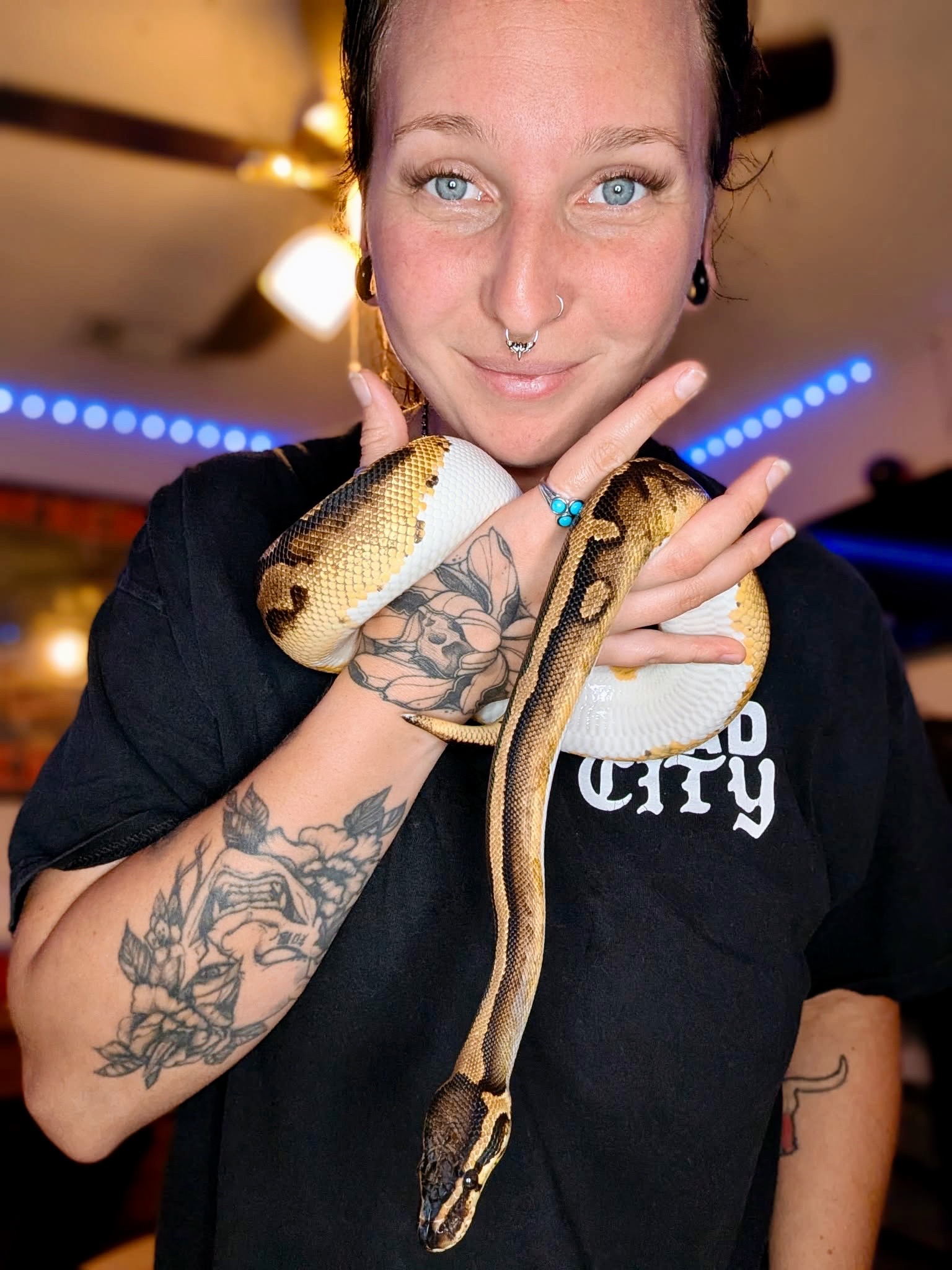 @Elliott Exotics
