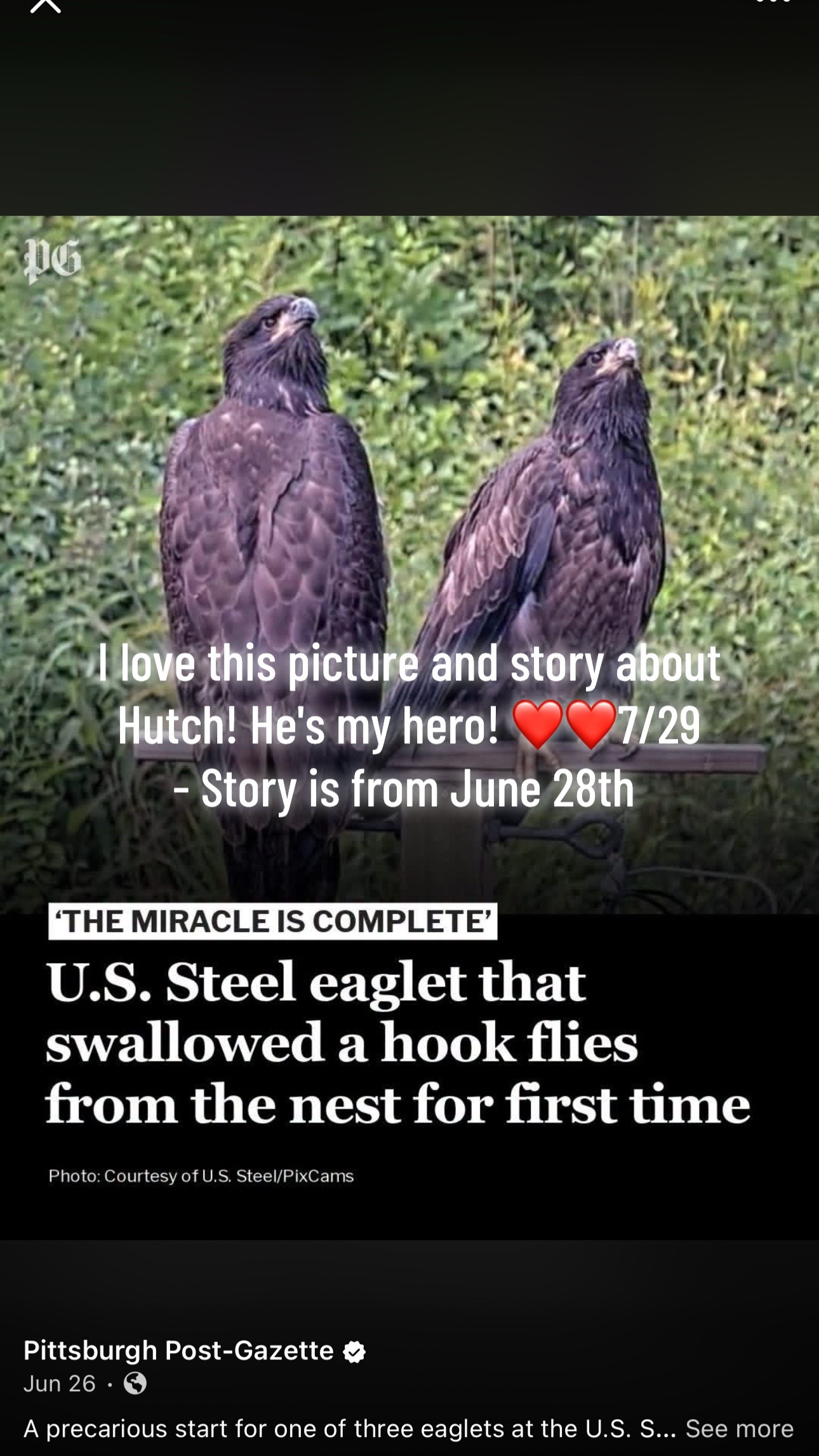 @Heartsong20
