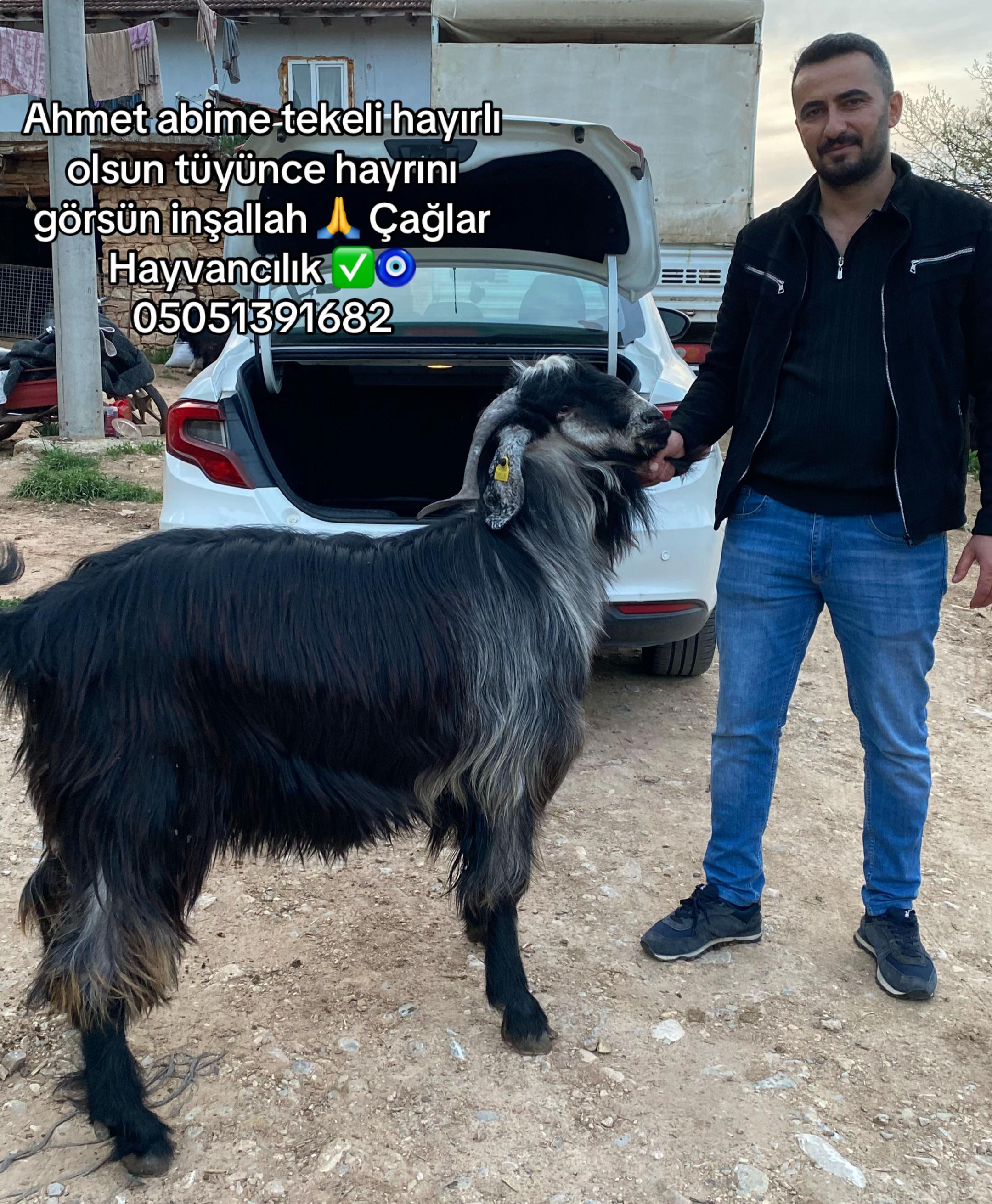 @Metin Melisa &ccedil;ağlar