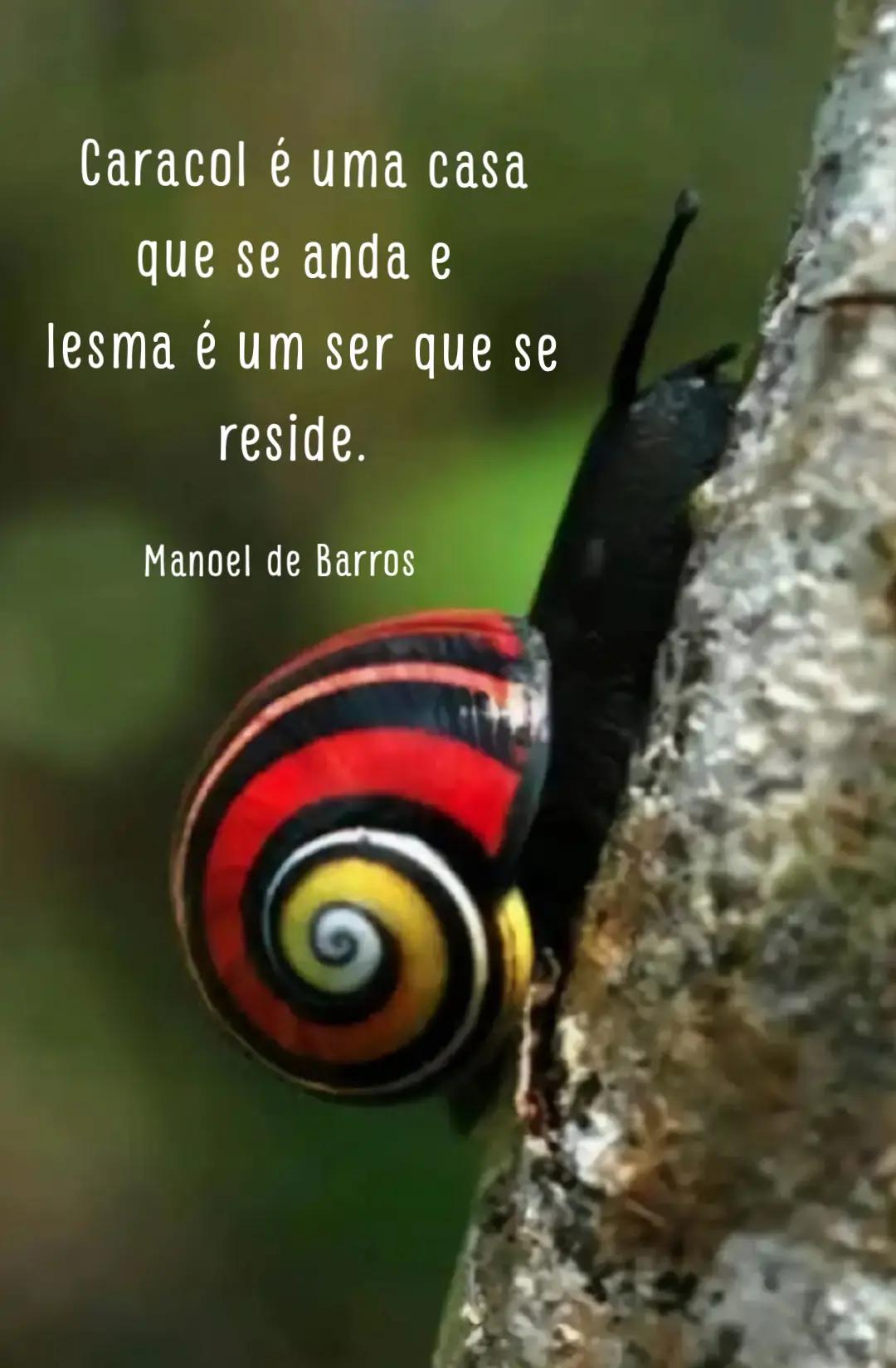 @Poema na Janela