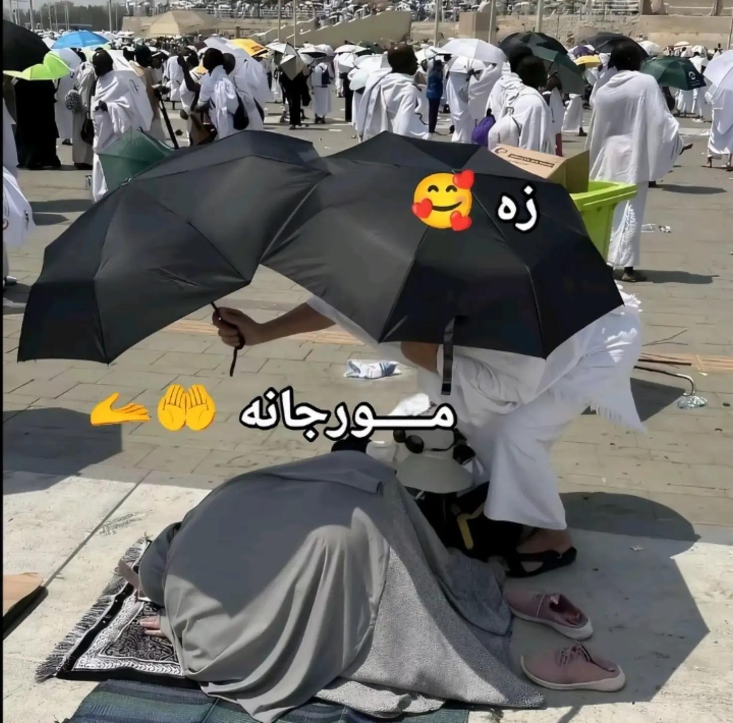 @𝗦𝘁𝗮𝘁𝘂𝘀 𝗞𝗶𝗻𝗴 👑