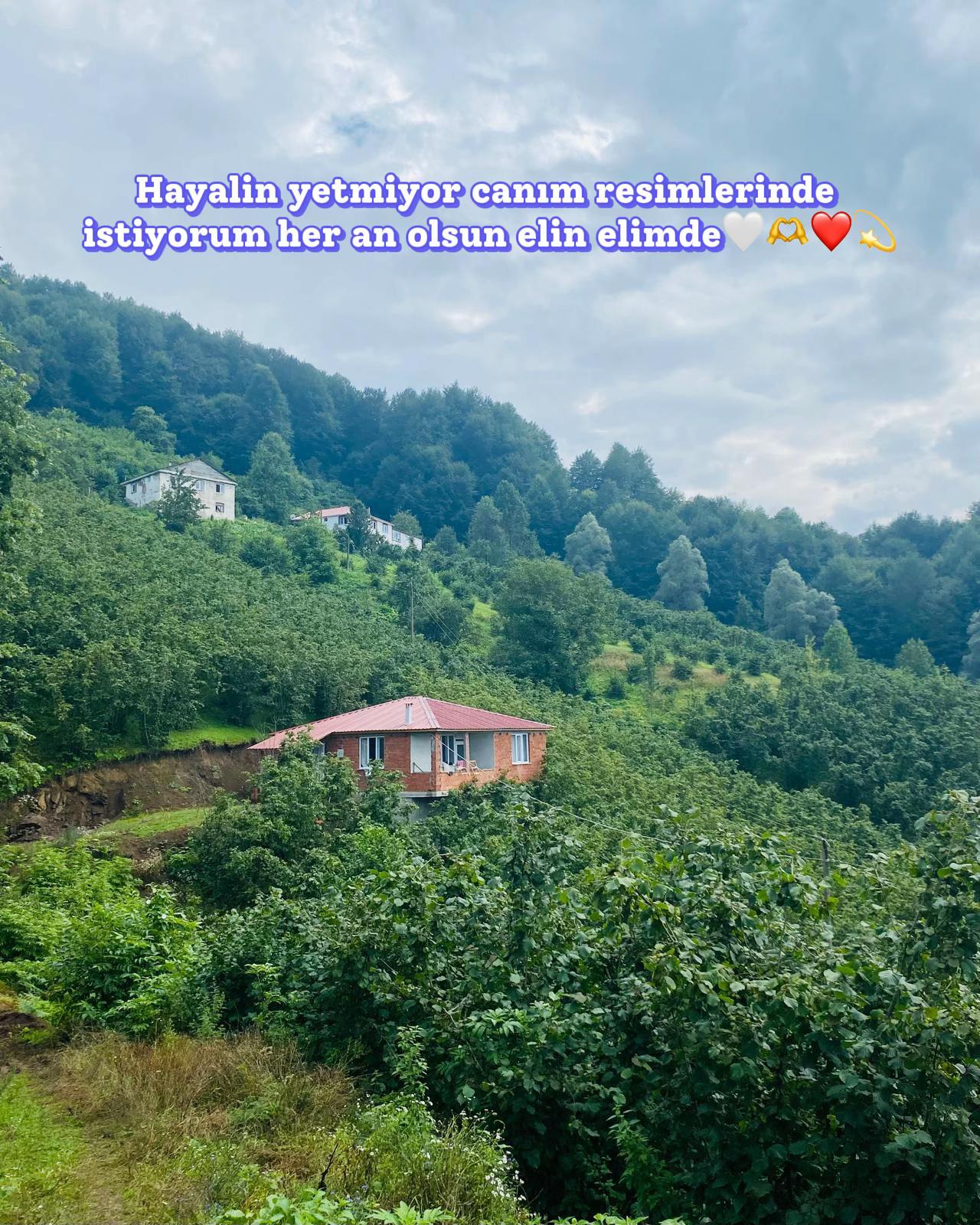 @Türkü1