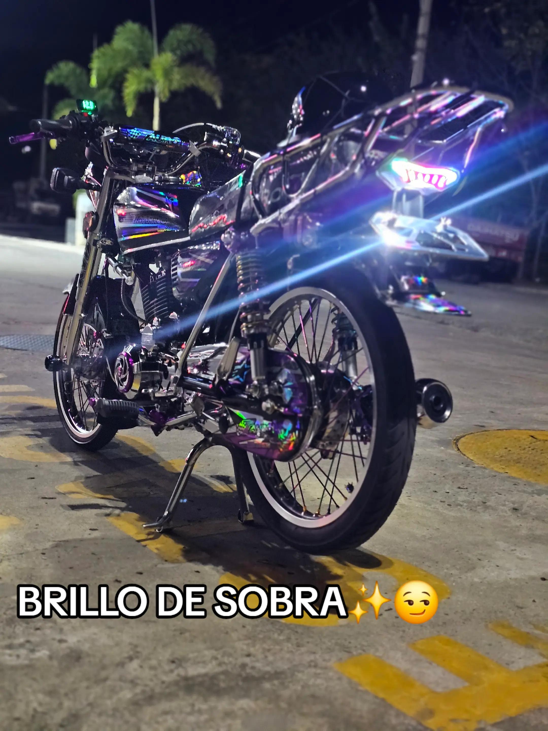 @El Tauro ex&oacute;tico&sup2;⁰&sup2;⁵