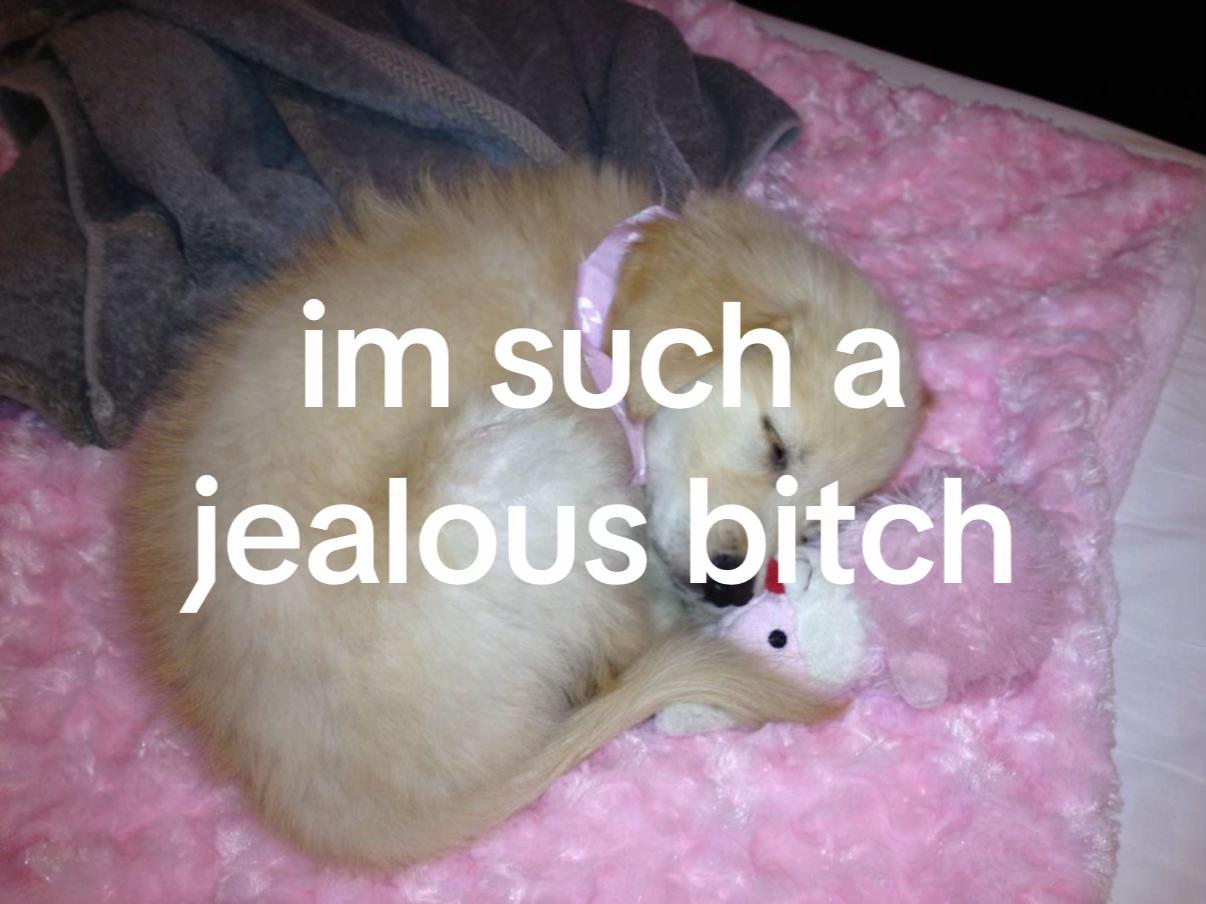 @bunny
