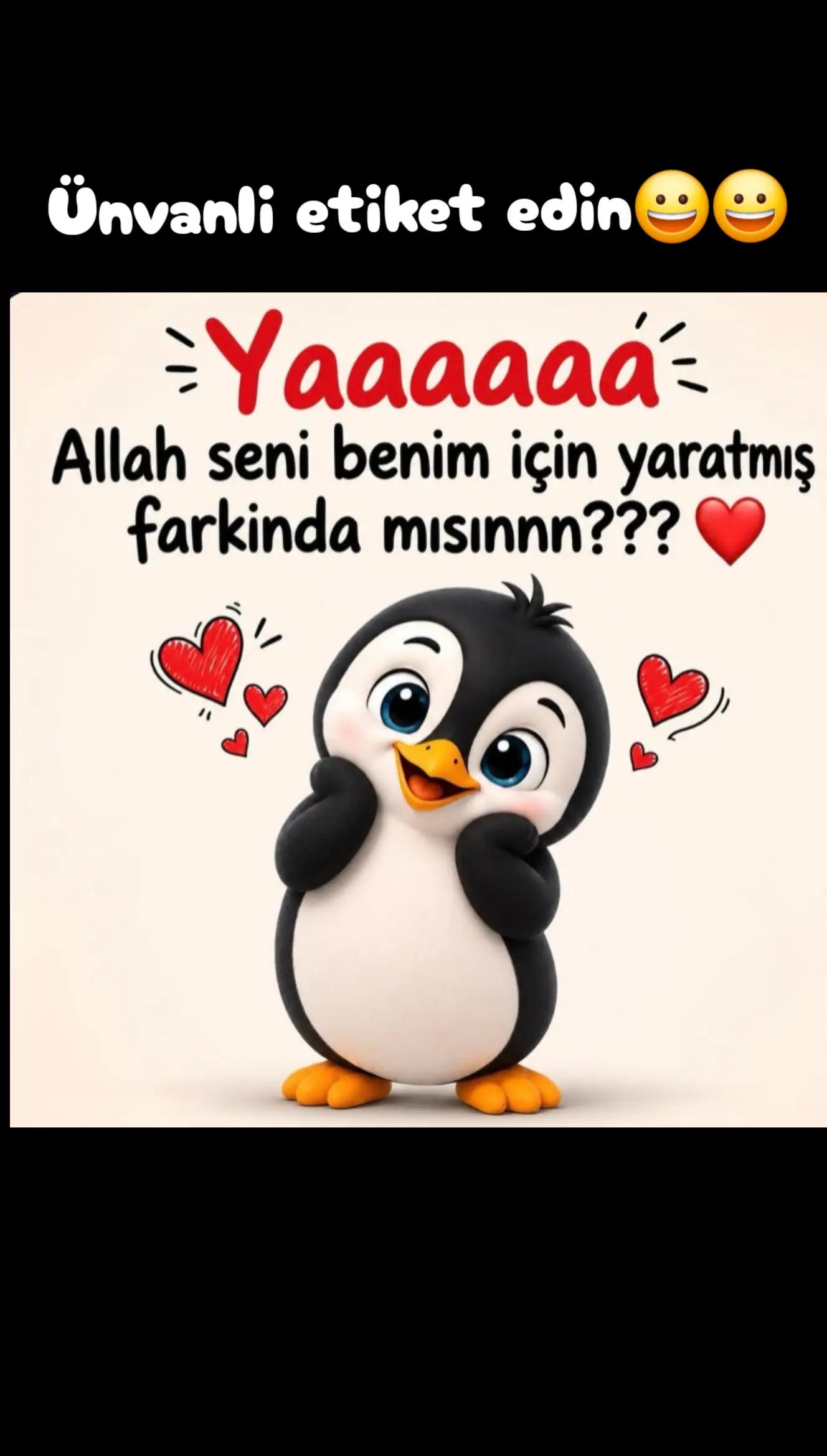 @Hikmet HX